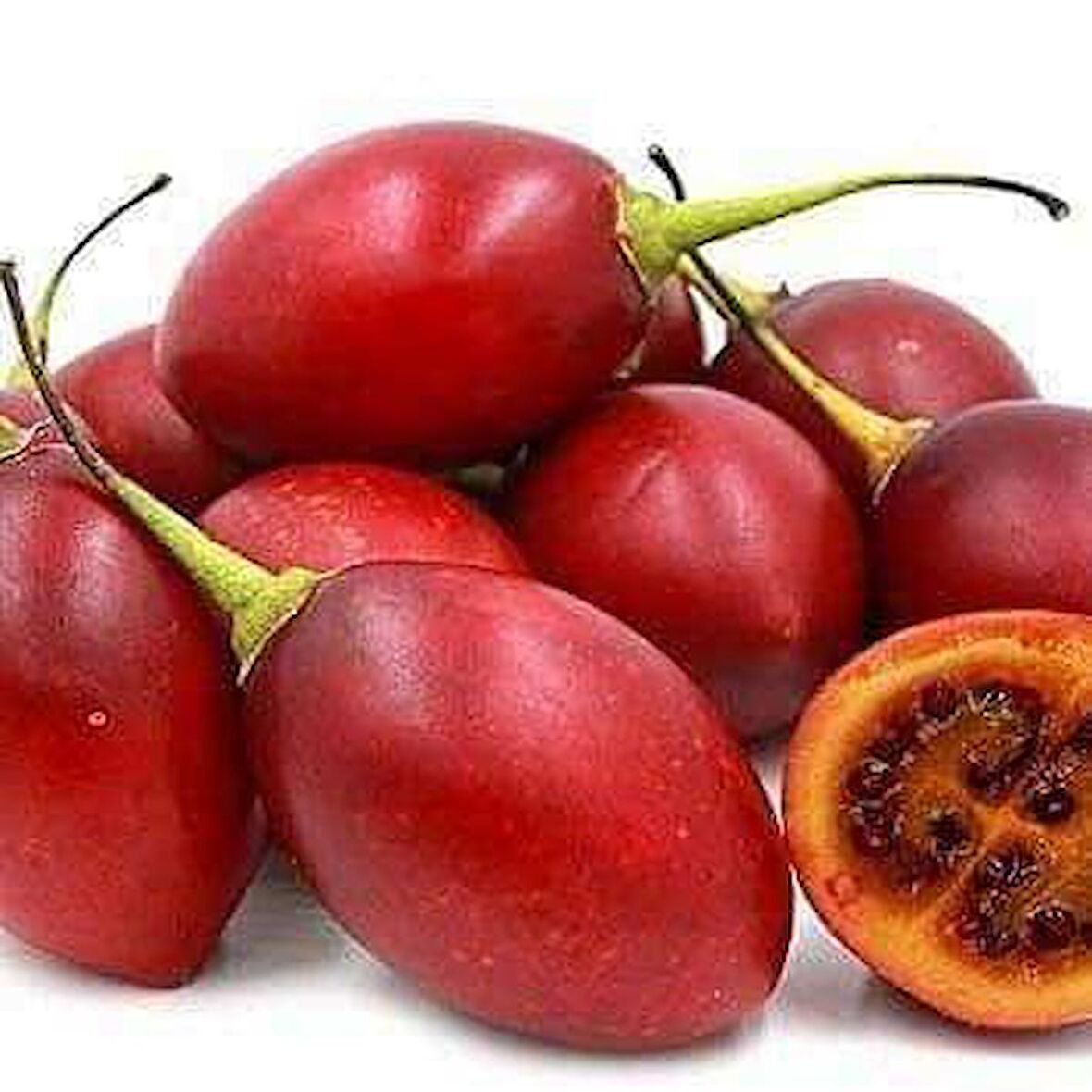 Domates Ağacı Tamarillo Meyvesi Fidanı