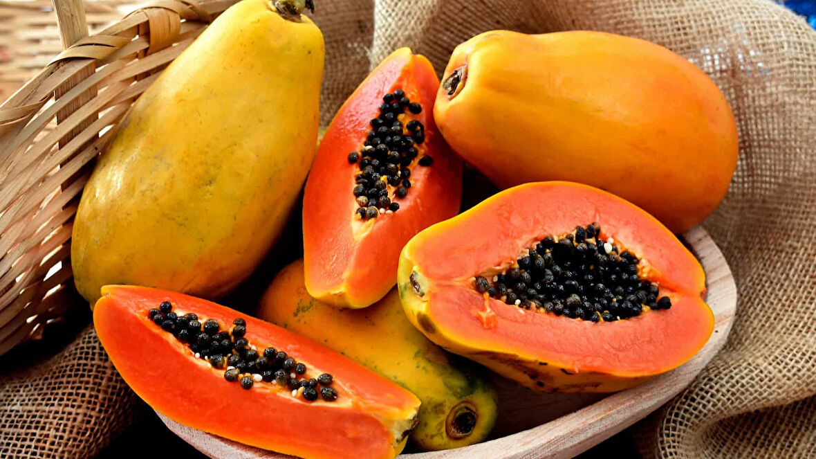 Papaya Meyvesi Fidan