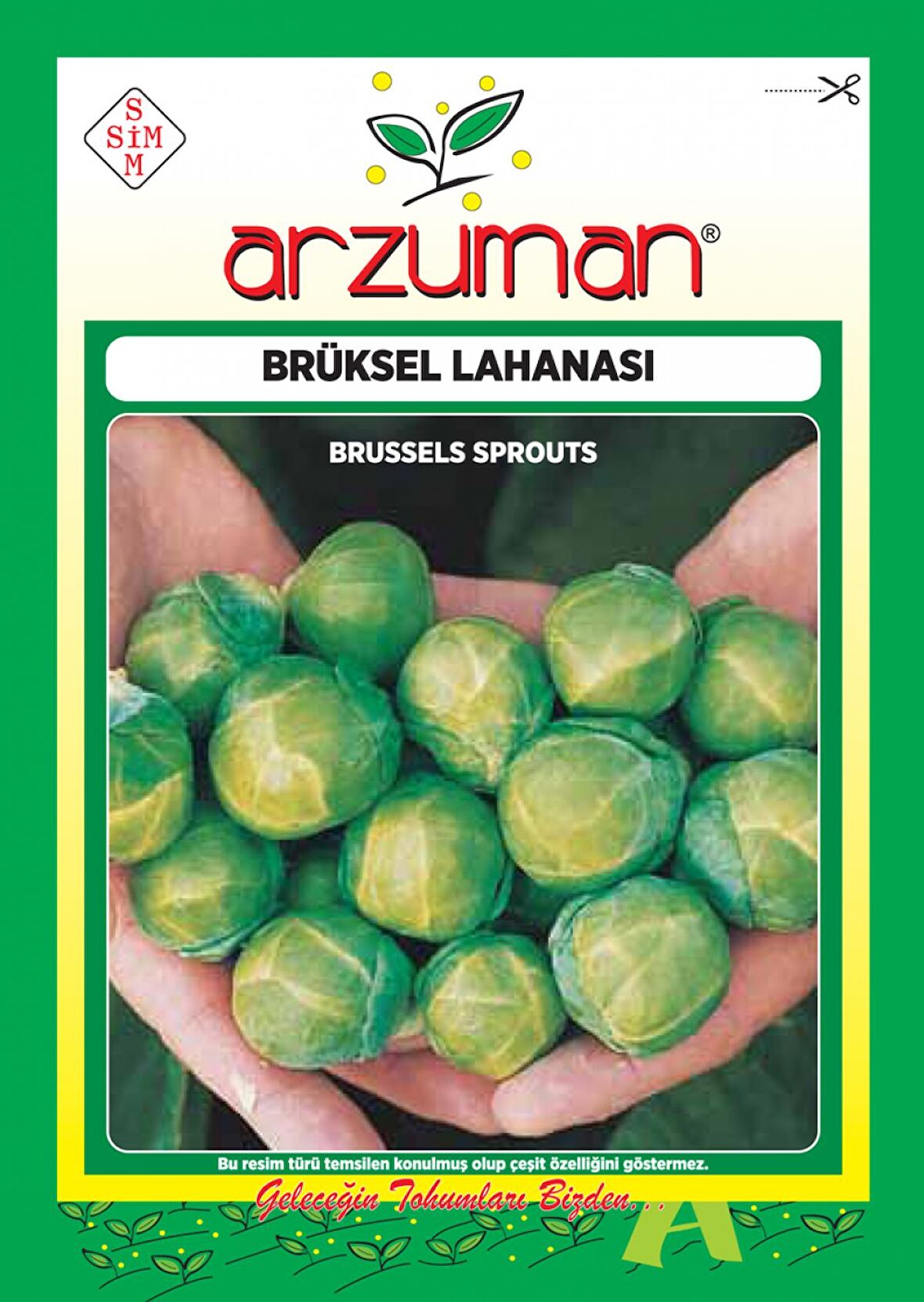 Brüksel Lahanası 200 Adet Tohum