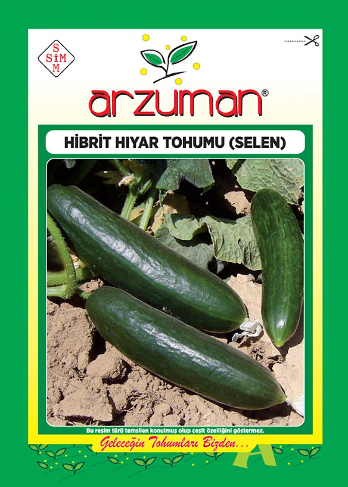 Hibrit Hıyar Tohumu( 100  Adet)