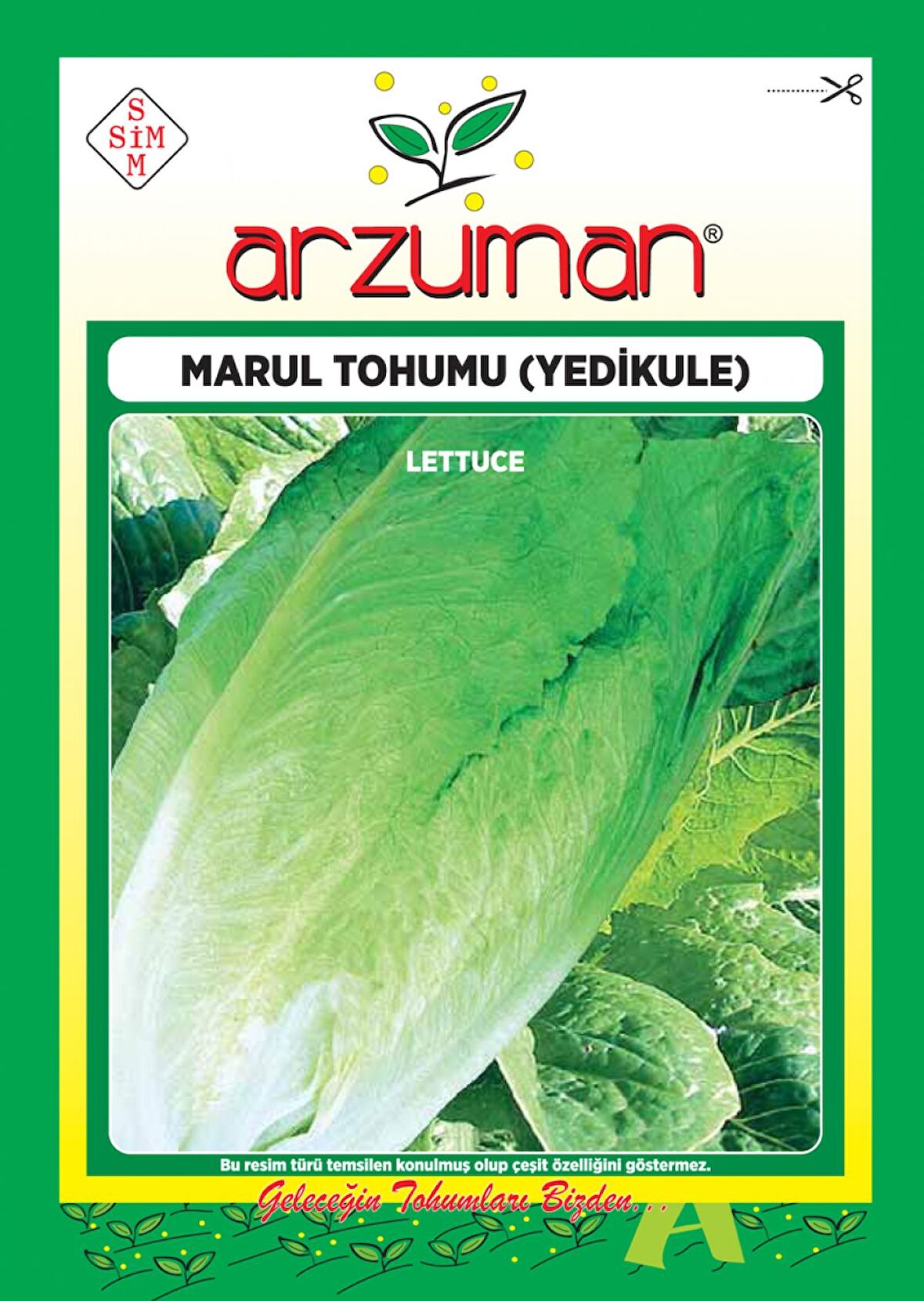 Soğuğa Dayanıklı Yedikule Marul Tohumu (10 Gr)