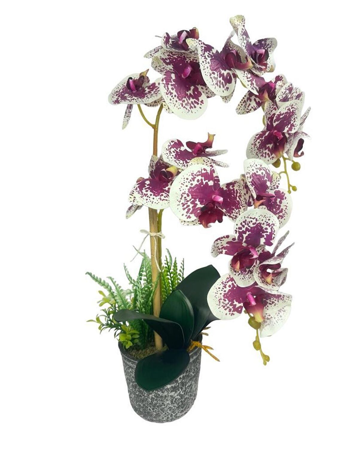 Yapay Çiçek 2li Benekli Fuşya Islak Orkide Seramik Saksıda Orkide 60cm