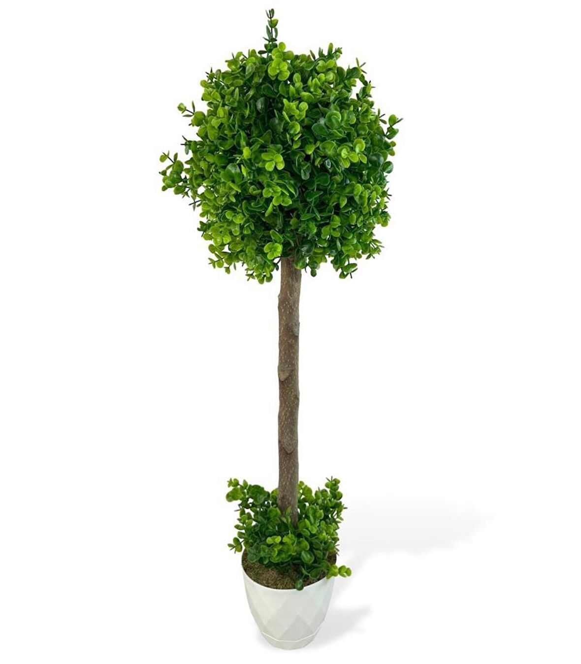Yapay Ağaç Şimşir Top 85*30cm Beyaz Saksılı Yeşil Ağaç 