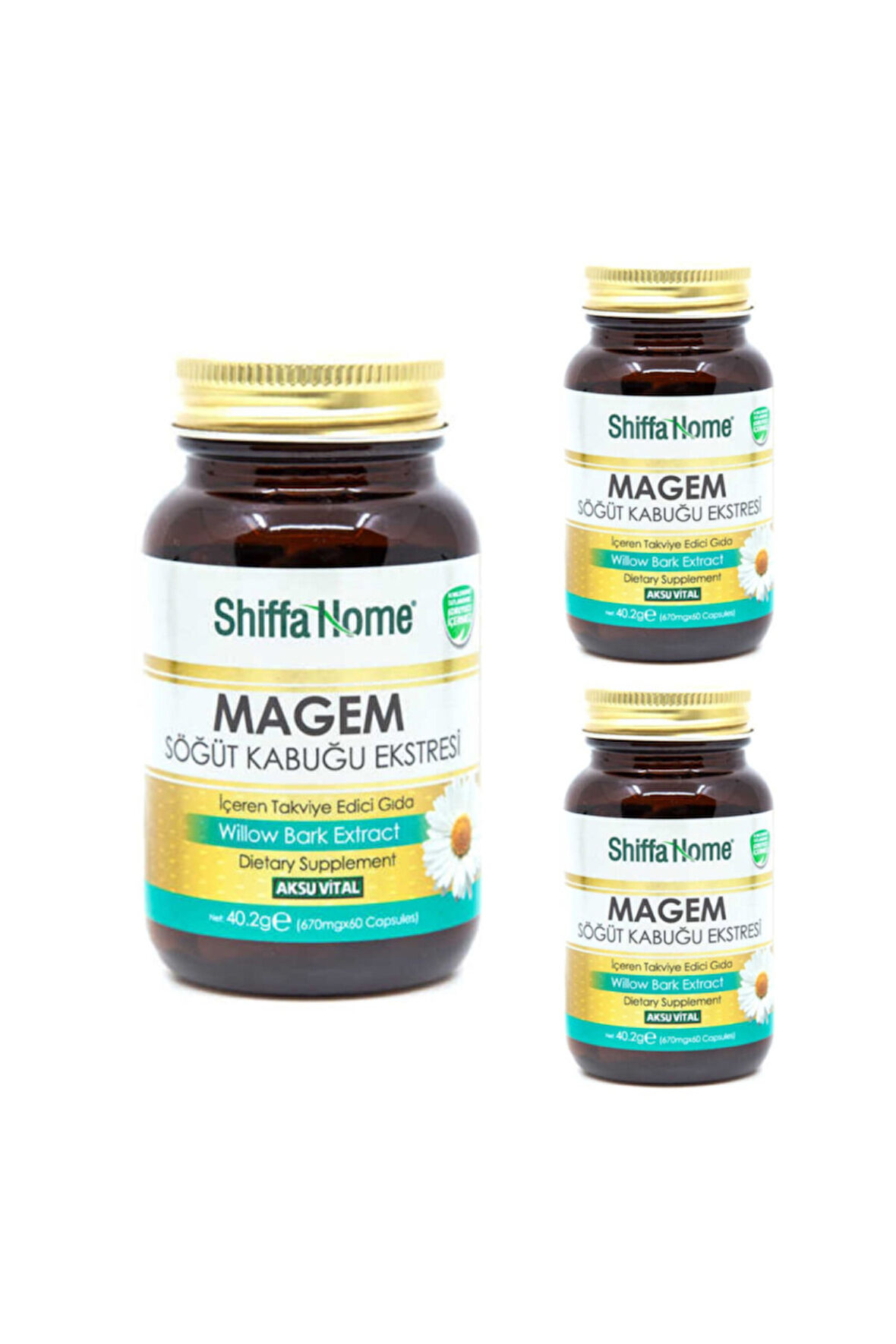 Magem Söğüt Kabuğu Ekstresi 60 Kapsül (3 Adet)