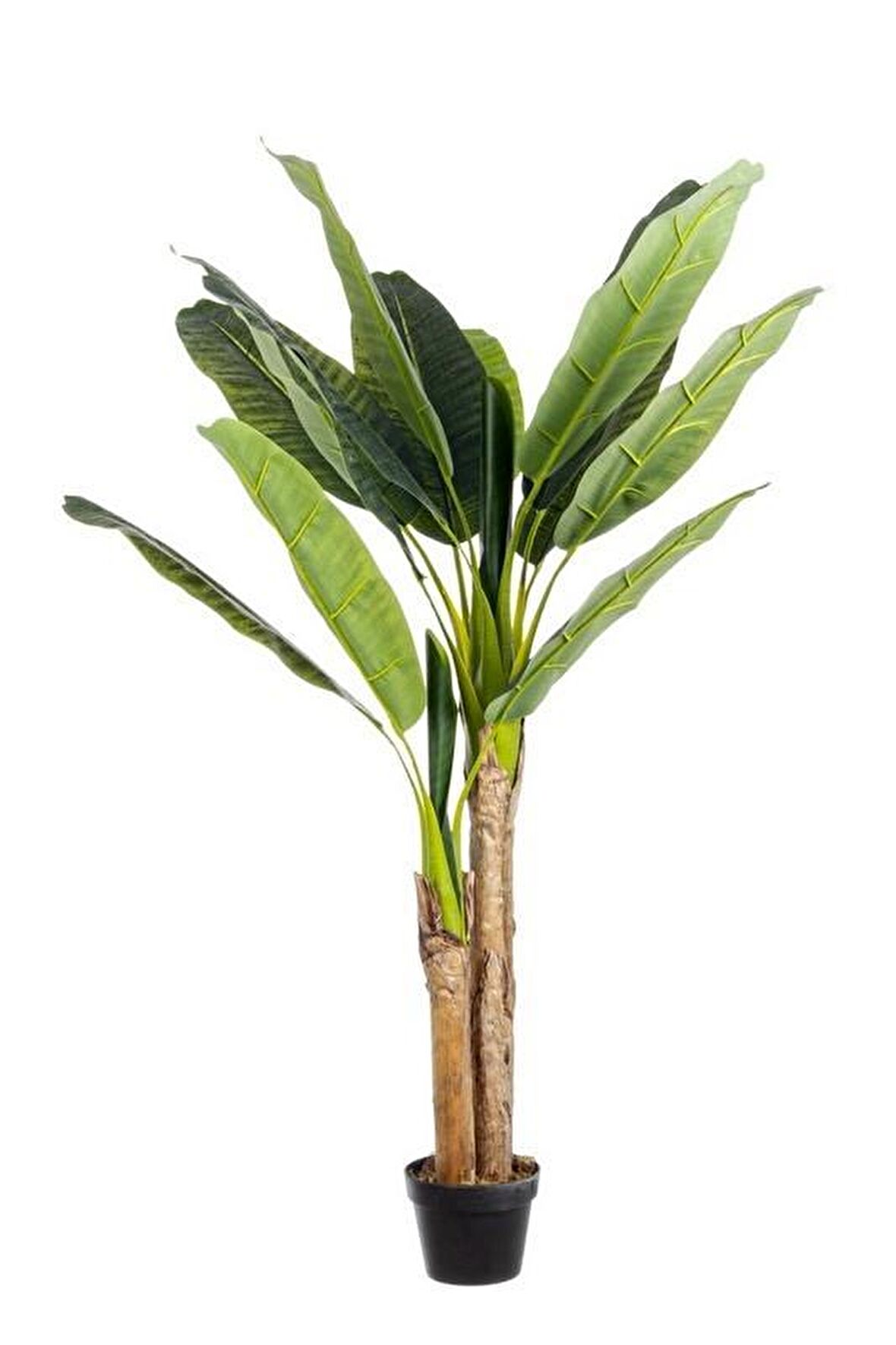 Yapay Ağaç Muz Ağacı Yapay Starliçe 220cm 