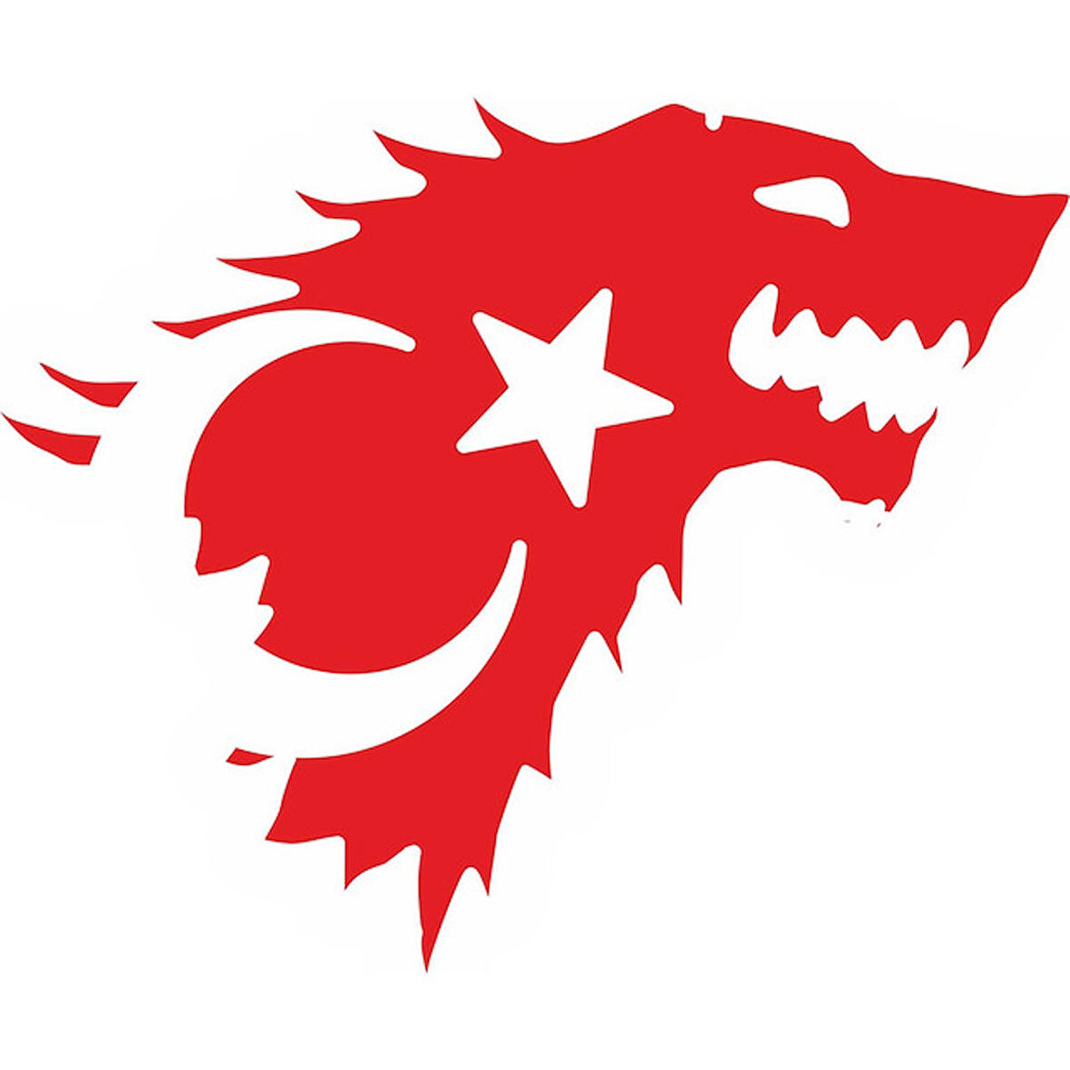 Kurt Şeklinde Türk Bayrağı Sticker Yapıştırması