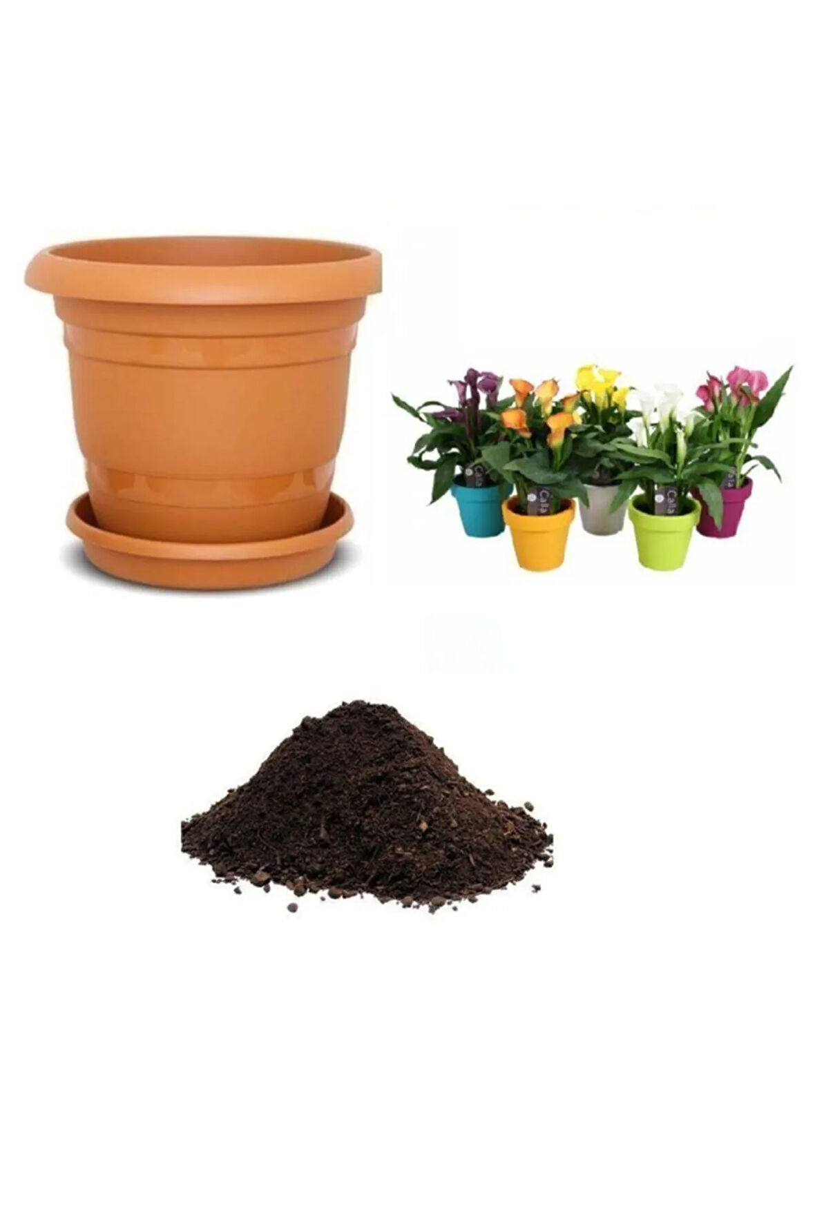 Ithal Karışık Calla Lily Tohumu Ekim Seti