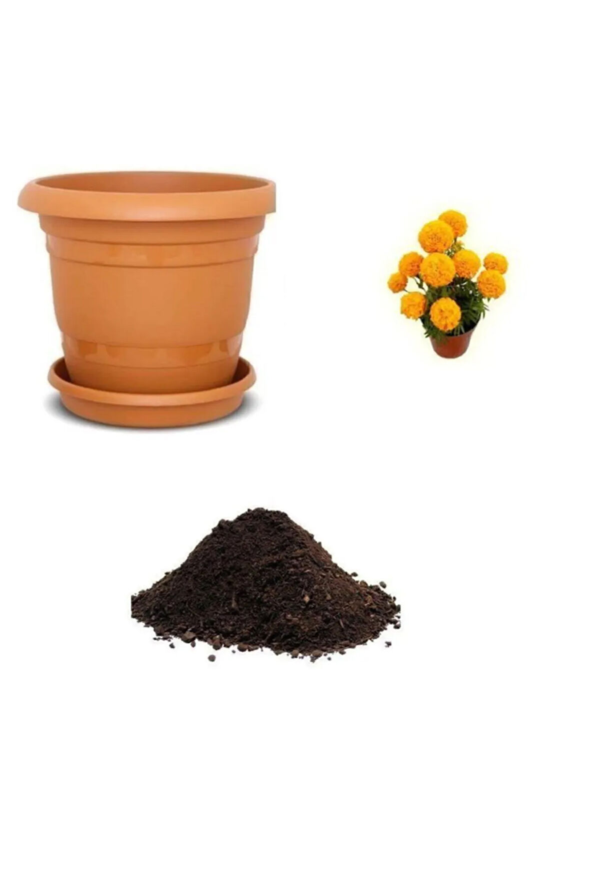 Sarı Tagete Çiçeği Tohumu Ekim Seti