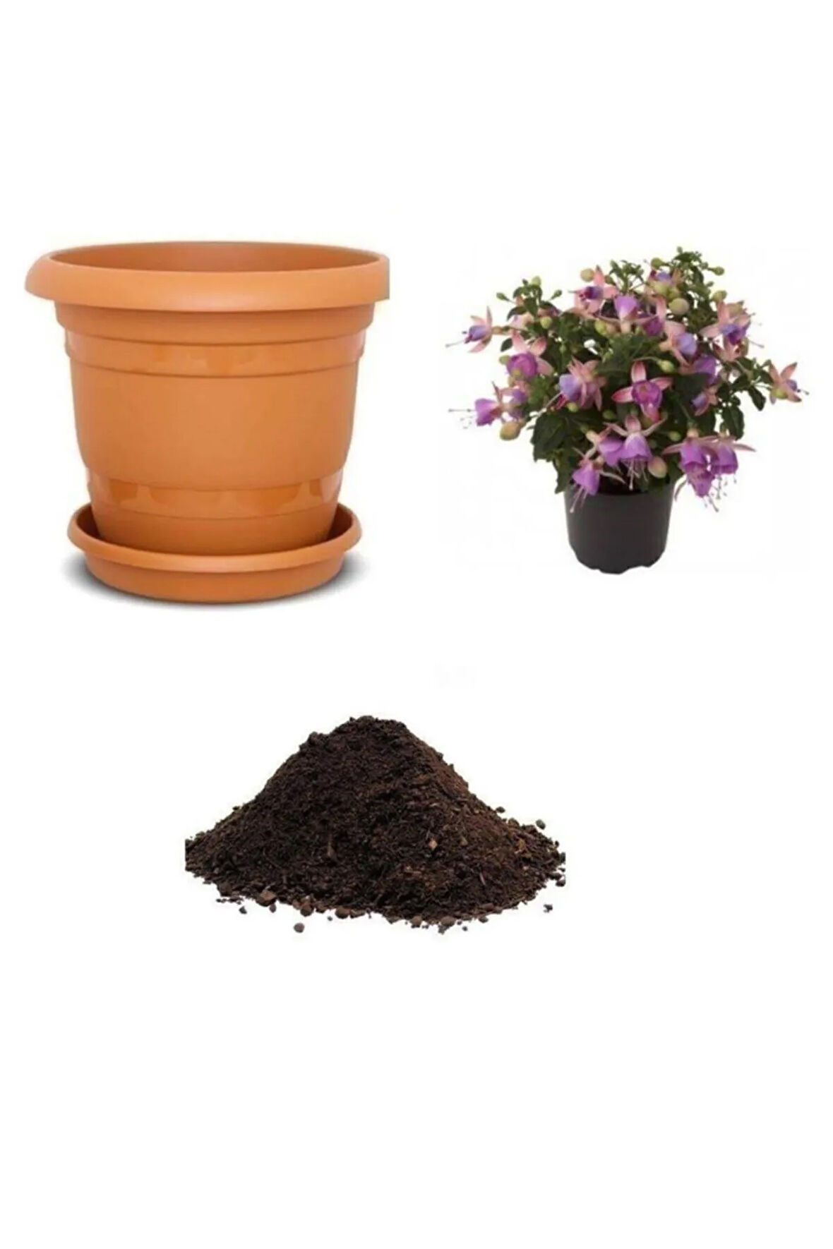 Mor Küpeli Çiçeği Tohumu Ekim Seti 5