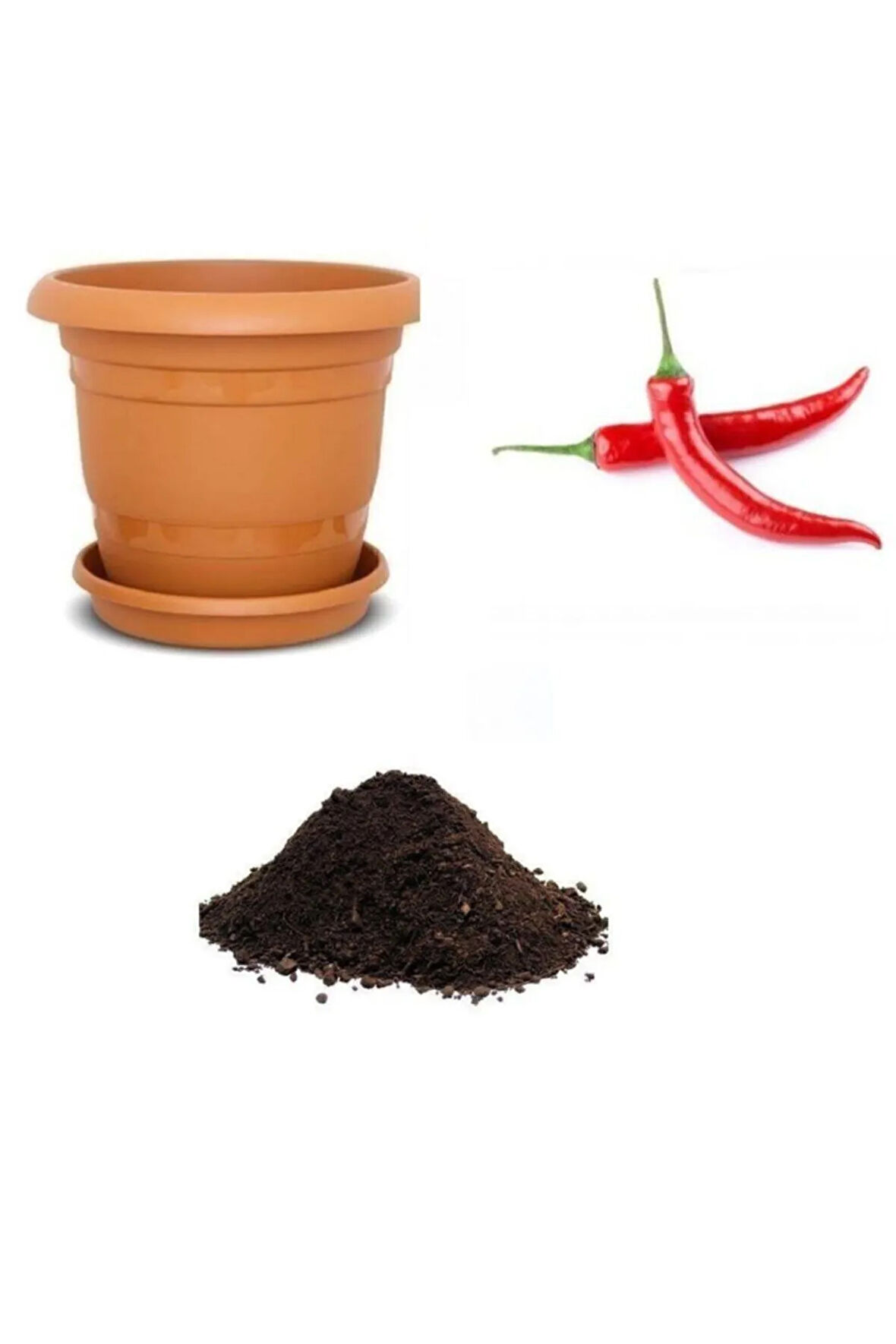 Meşhur Acı Hatay Biberi Tohumu Ekim Seti