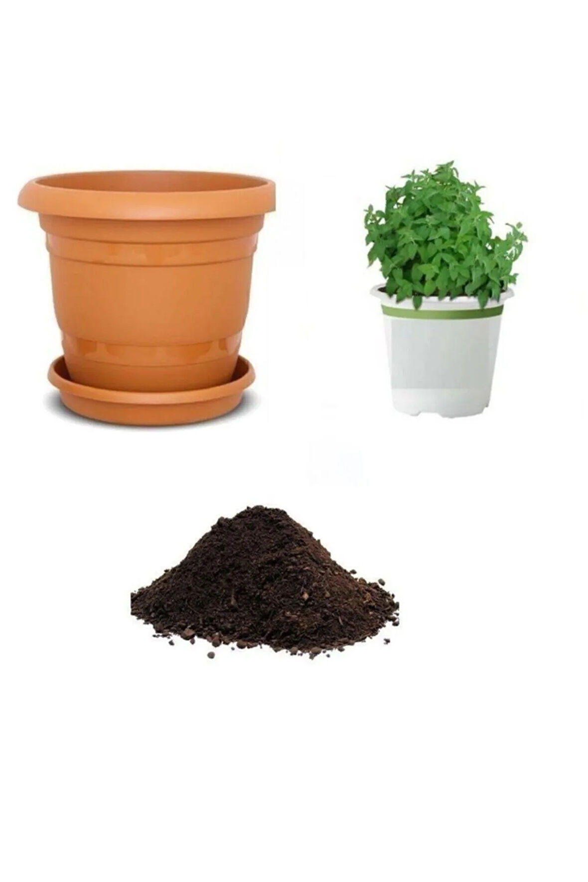 Isırgan Otu Tohumu Ekim Seti