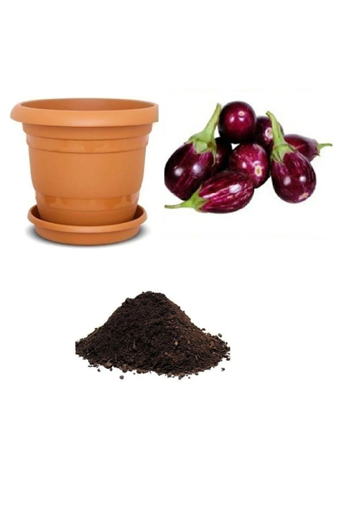 Adana Patlıcanı Tohumu Ekim Seti