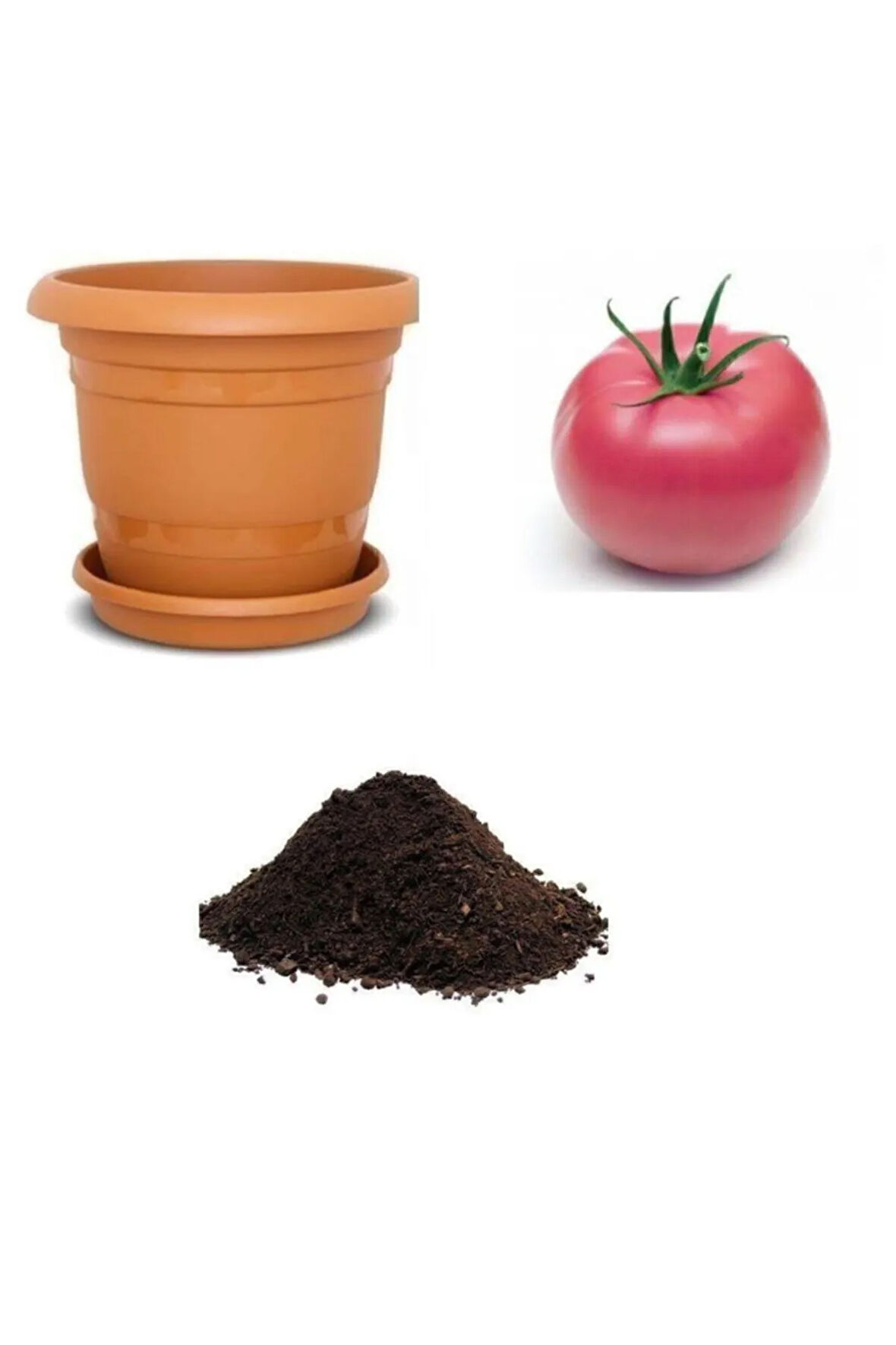 Nadir Dev Bulgar Domatesi Tohumu Ekim Seti