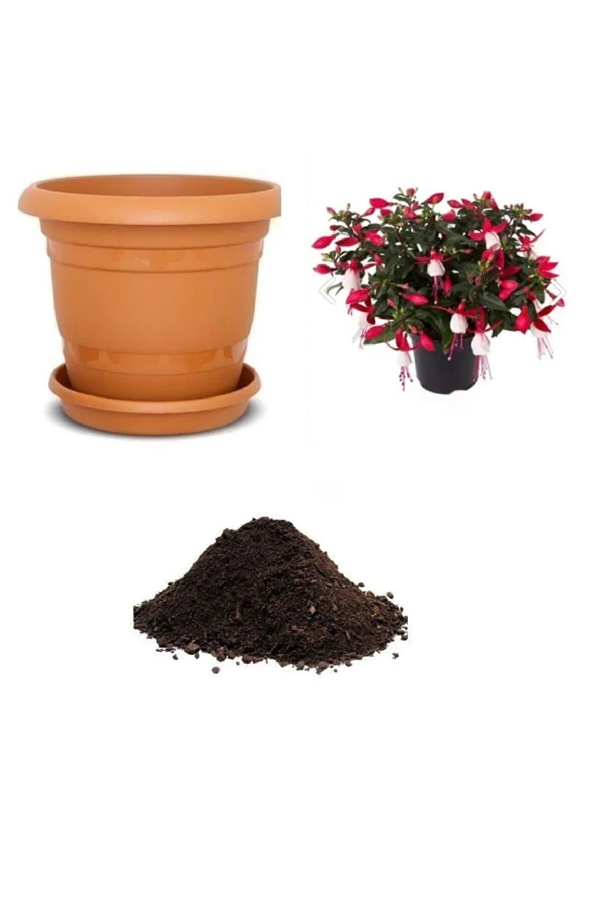 Karışık Küpeli Çiçeği Tohumu Ekim Seti