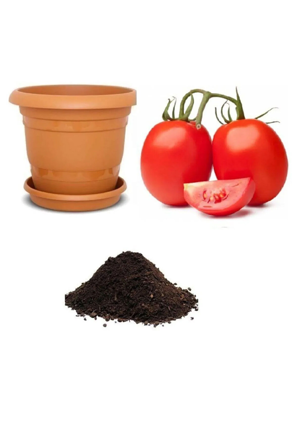 Ithal Rio Grande Domates Tohumu Ekim Seti