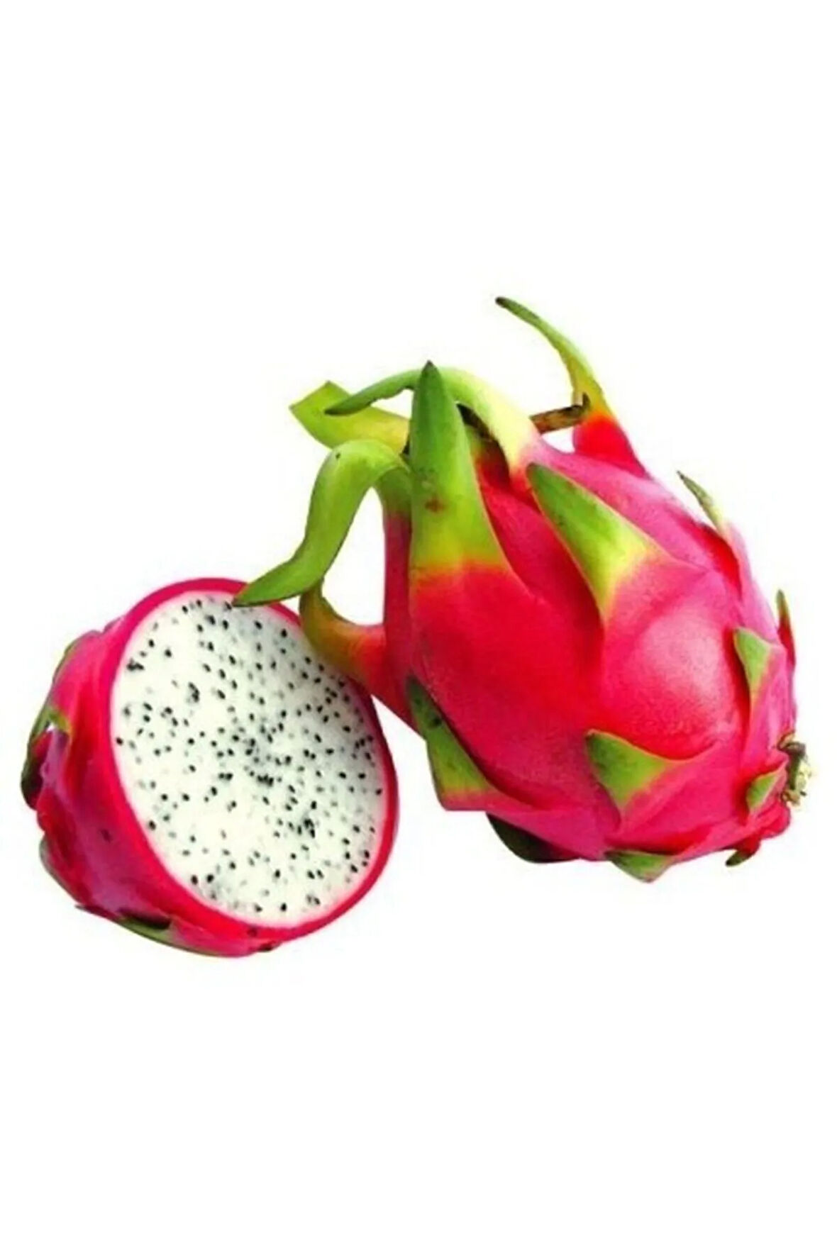 Bodur Saksılık Pitaya Meyvesi Tohumu 10 Adet Tohum Pithaya Fruit