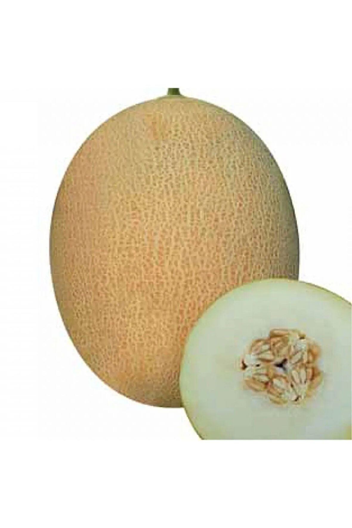 Ananas Kavun Tohumu 15 Adet Tohum Bal Kavun