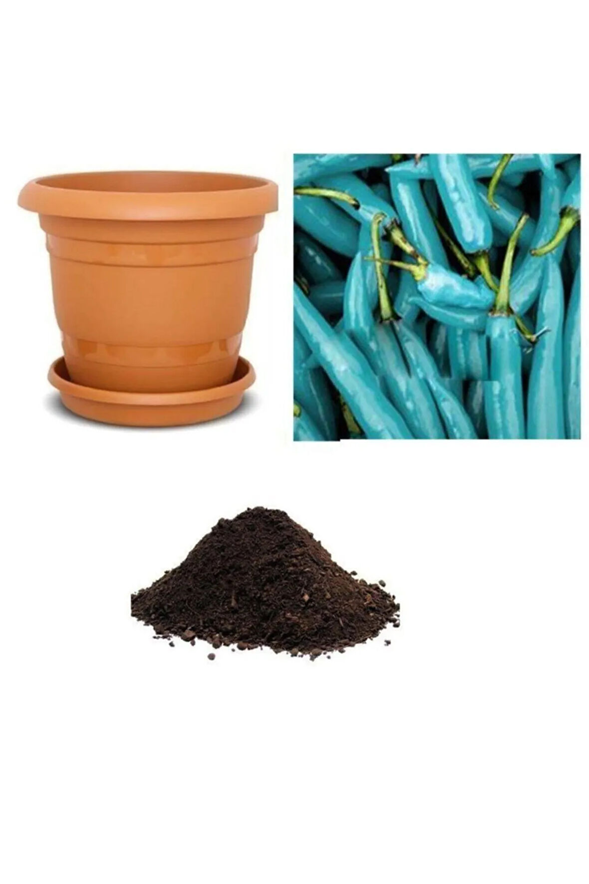 Ithal Mavi Biber Tohumu Ekim Seti