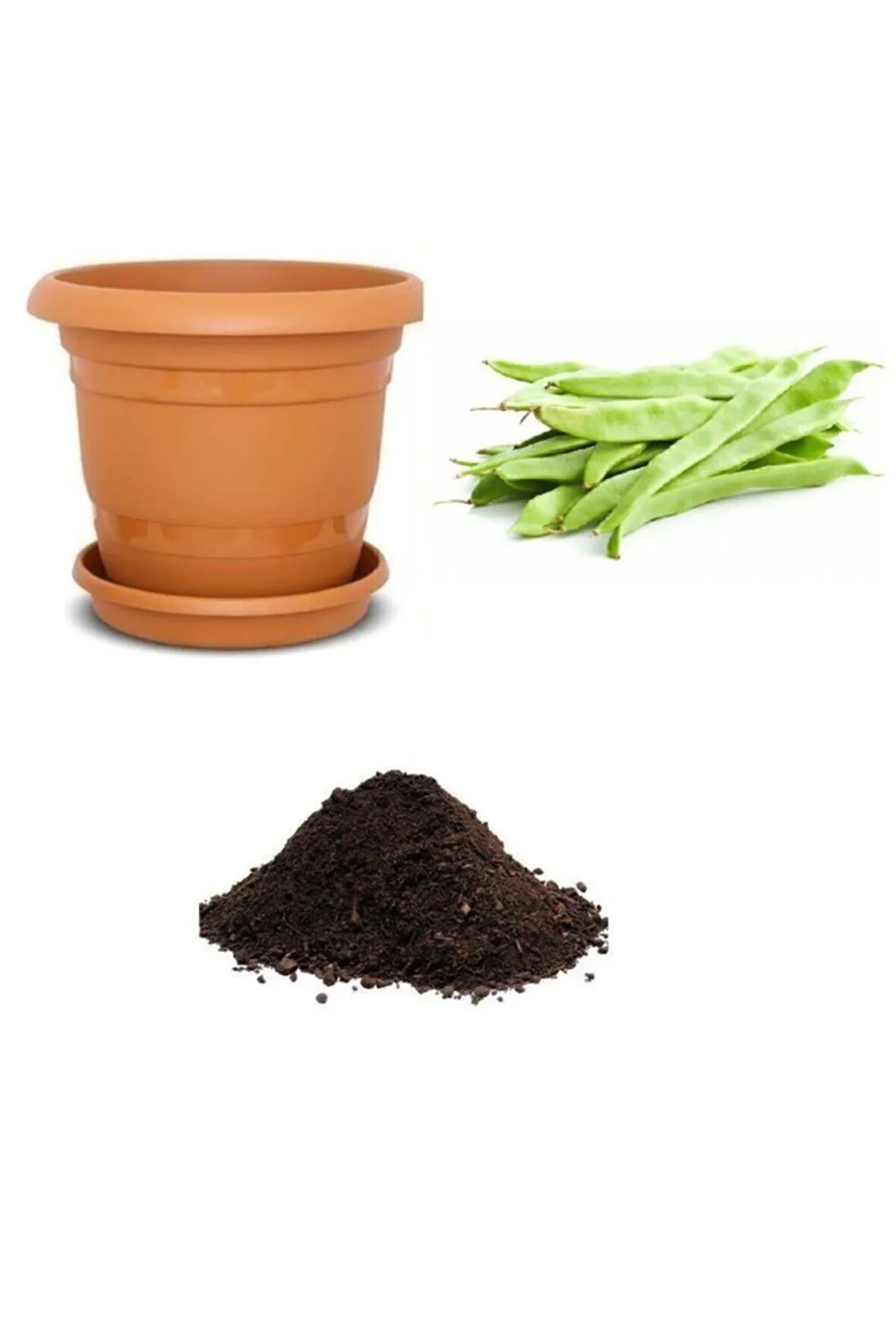 Demir Magnumax Fasulye Tohumu Ekim Seti