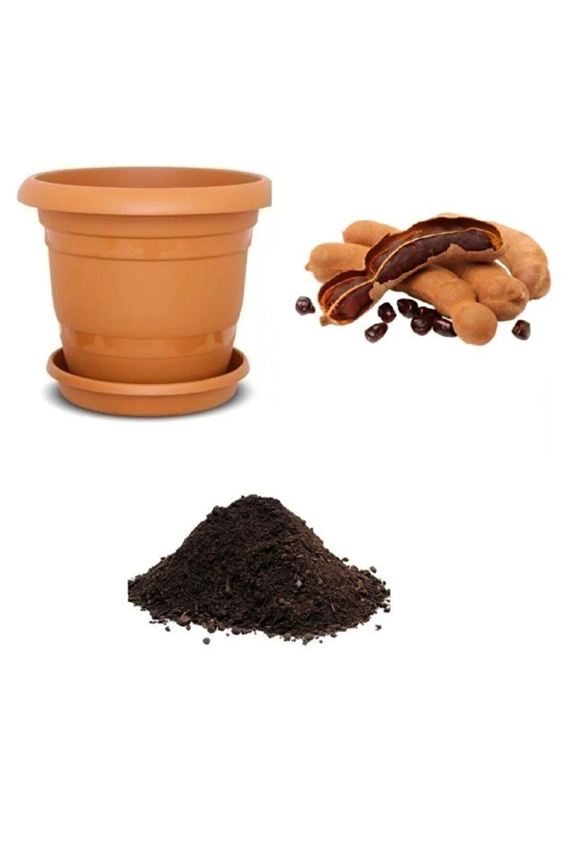 Ithal Demirhindi Tohumu Ekim Seti