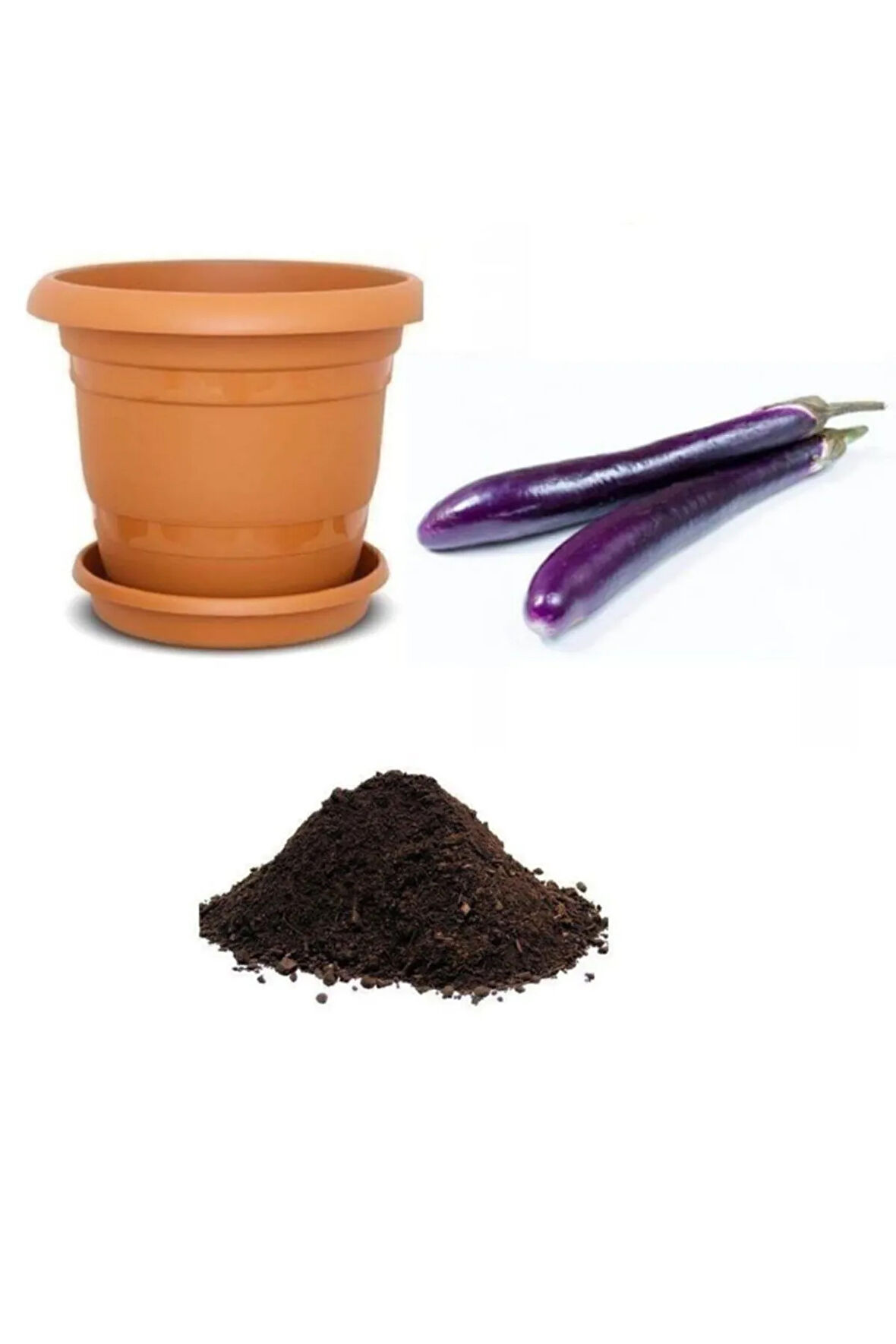 Nadir Dev Kemer Patlıcan Tohumu Ekim Seti