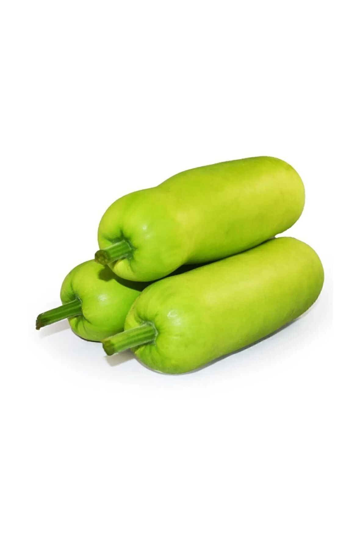 Nadir Ithal Çin Kavunu 5 Adet Tohum Vax Guard Kavun Tohumu