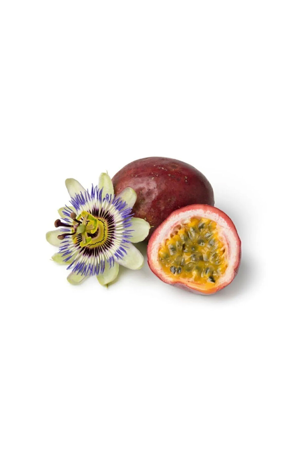 Tropikal Tutku Meyvesi Tohumu 3 Adet Tohum Passion Fruit