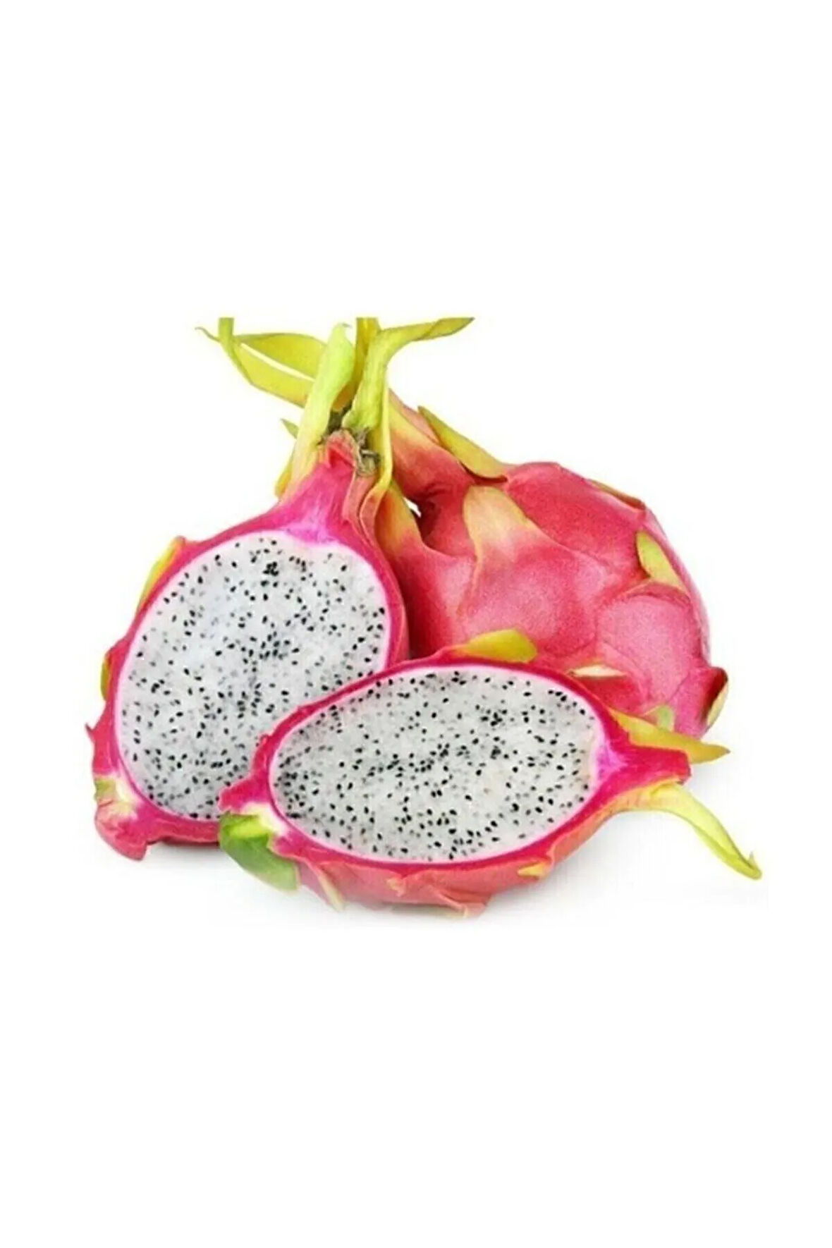 Pitaya Ejder Meyvesi Tohumu 10 Adet Tohum Pithaya Dragon Fruit
