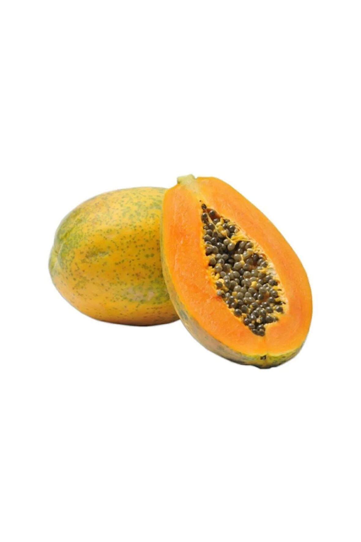 Bodur Saksılık Papaya Ağacı Tohumu 3 Adet Tohum
