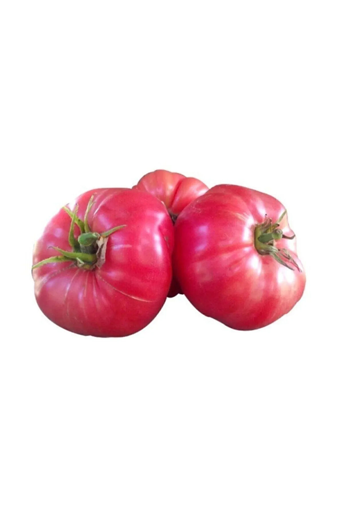 Nadir İri Pembe Domates Tohumu 10 Adet Tohum Bulgar Domatesi