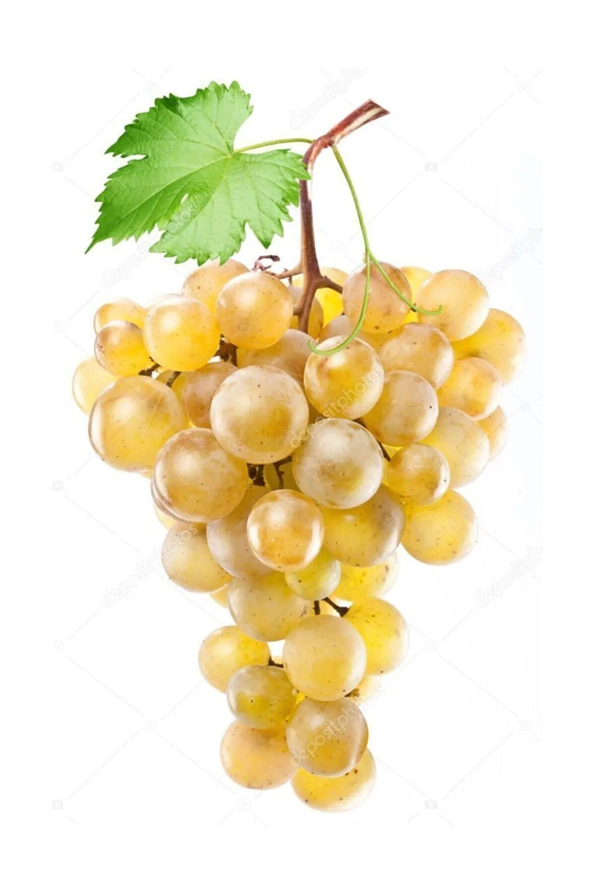 Nadir İthal Sarı Golden Üzüm Tohumu 5 Adet Tohum