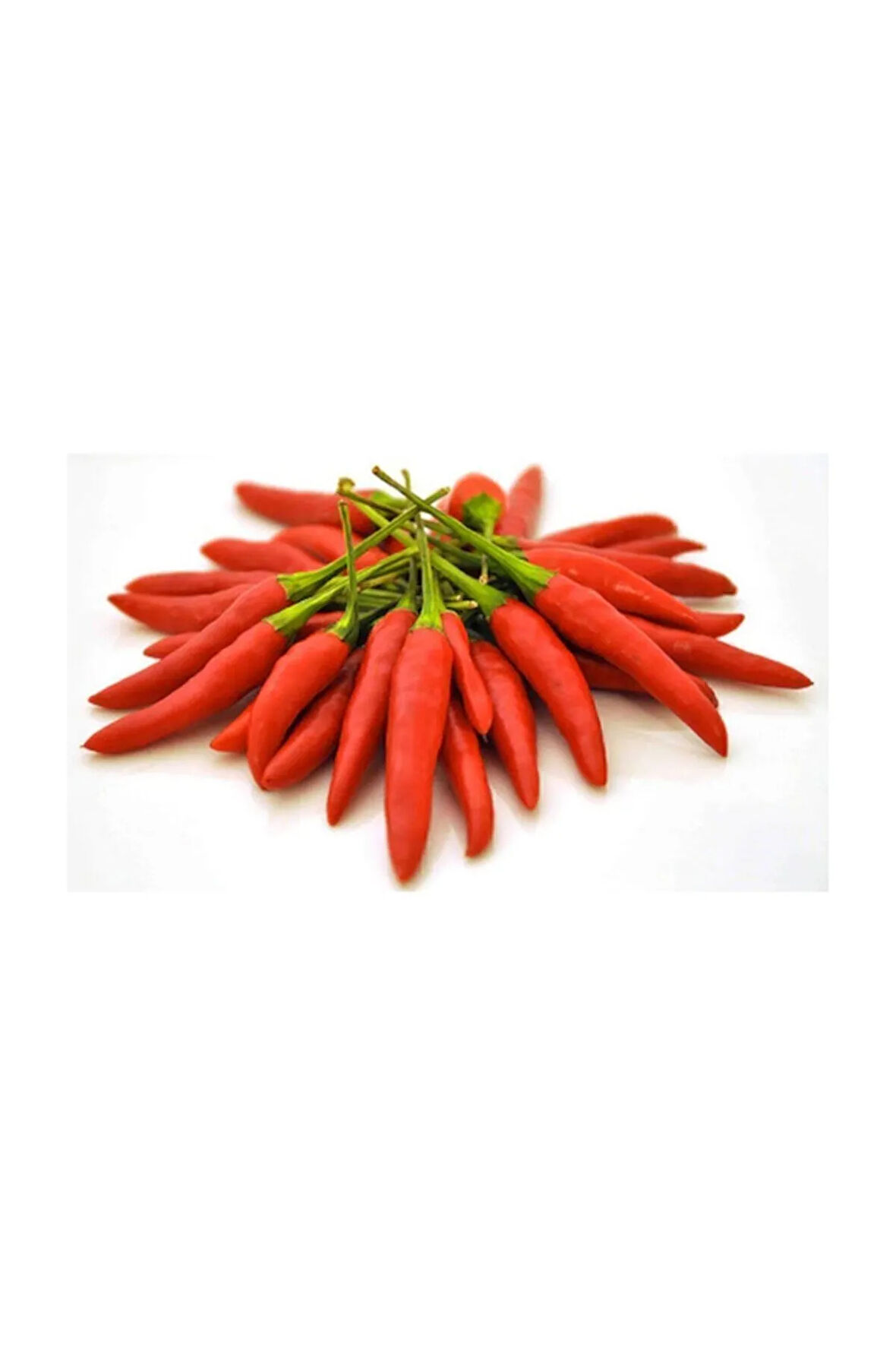 Eko Paket 150 Adet Tohum İthal Acı Macar Biberi Tohumu Biber Tohumu