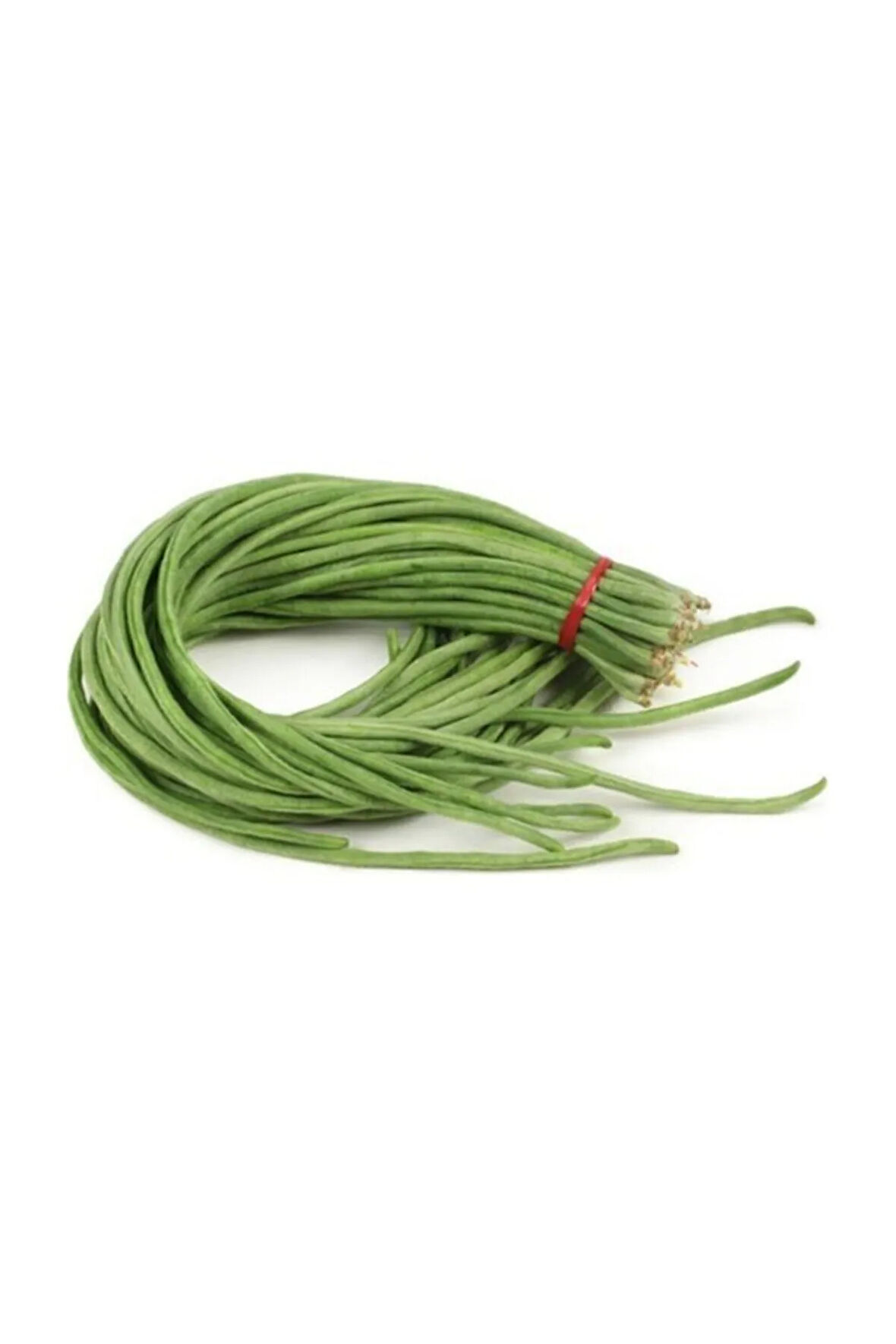 Eko Paket 15 Tohum İthal Uzun Çin Fasulyesi Tohumu Fasülye Tohumu