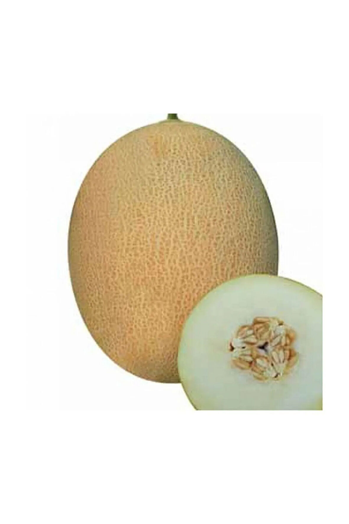 Eko Paket 200 Adet Tohum Ananas Kavun Tohumu Ananas Kavunu Tohumu