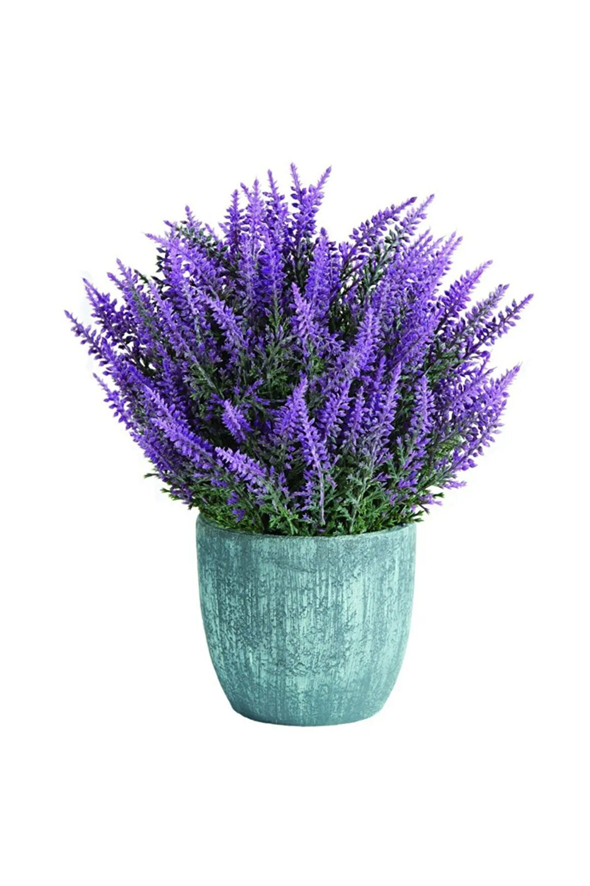 Eko Paket 200 Adet Tohum Nadir İthal Mis Kokulu Lavanta Tohumu Çiçek Tohumu