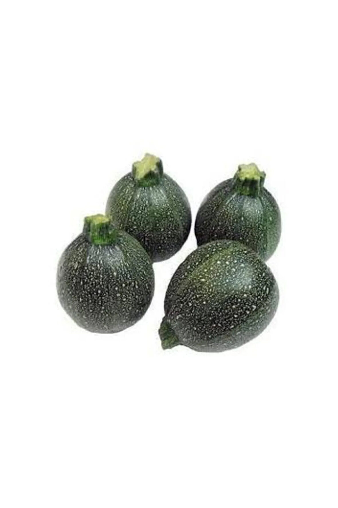 Eko Paket 50 Adet Tohum Yeşil Topak Dolmalık Kabak Tohumu