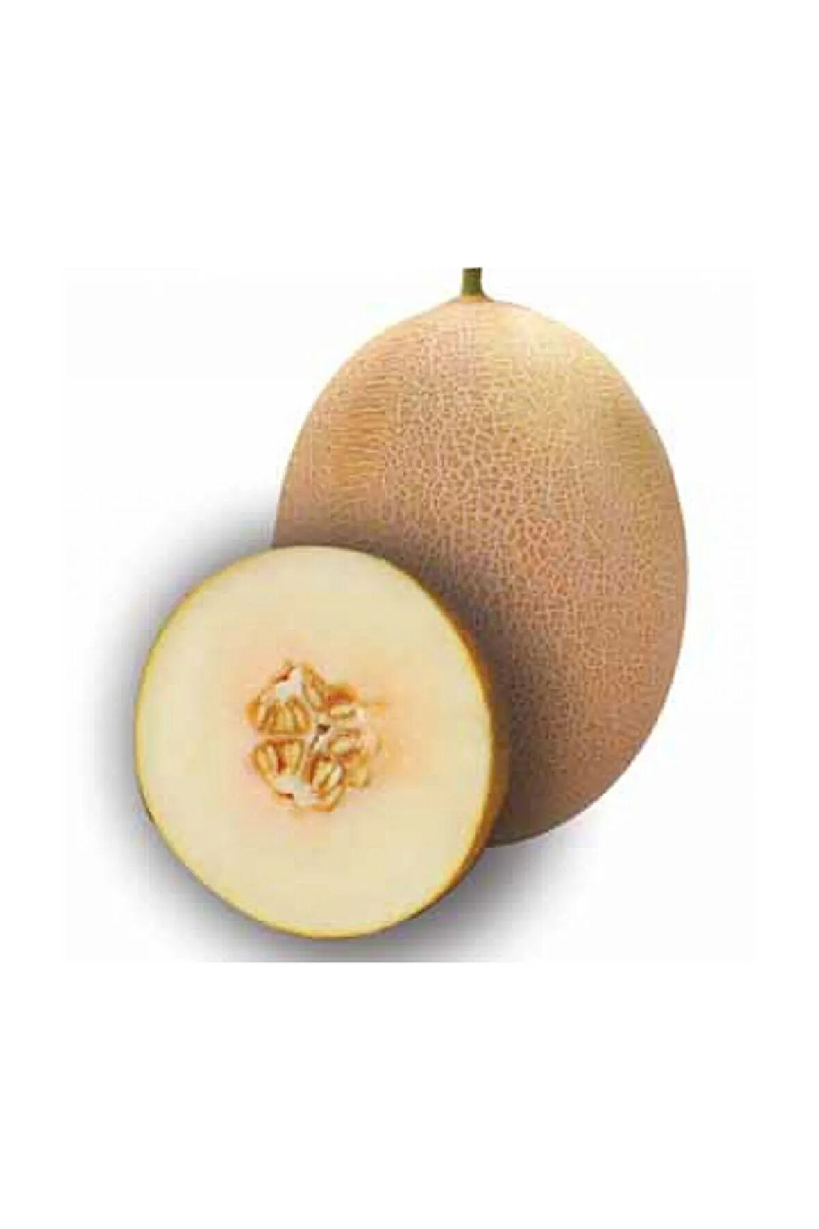Süper Paket 500 Adet Tohum Mis Kokulu Bal Ananas Kavun Tohumu