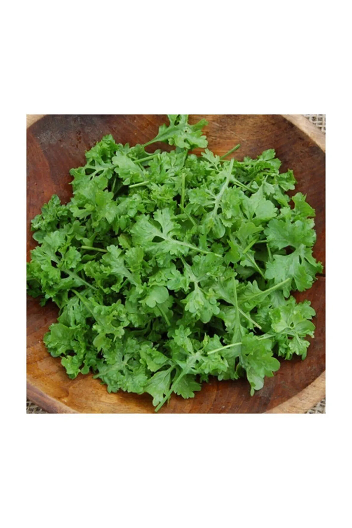 Nadir İthal Crinkled Tere Tohumu 100 Adet Tohum
