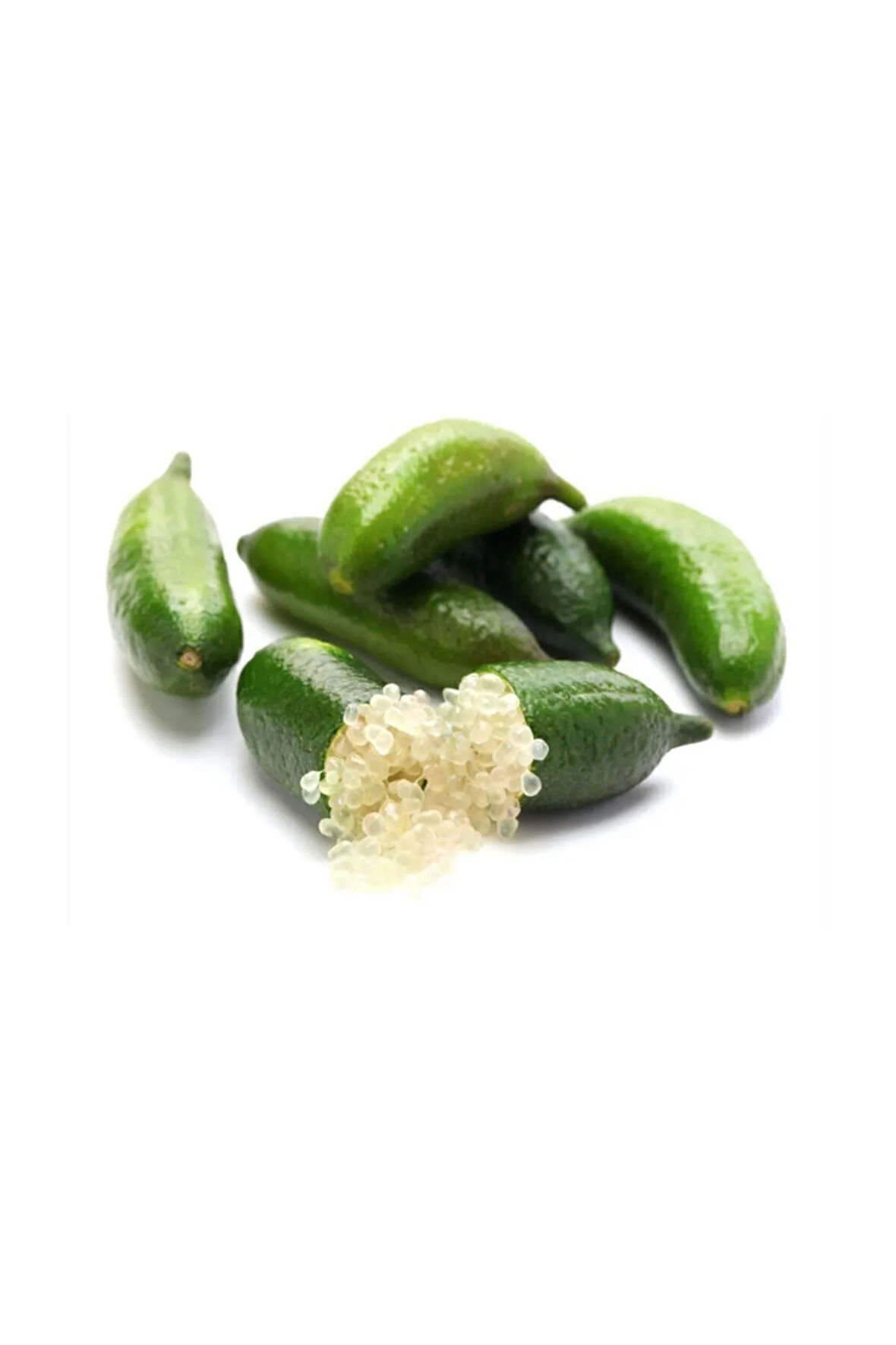 Nadir İthal Parmak Limon Tohumu 3 Adet Tohum