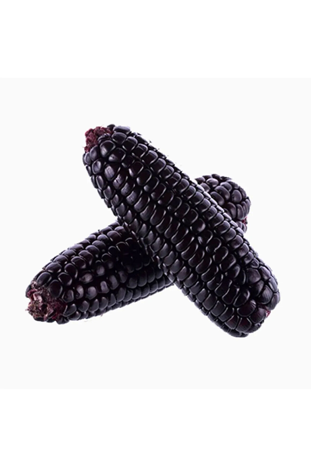 Süper Paket 20 Nadir Ithal Siyah Mısır Tohumu