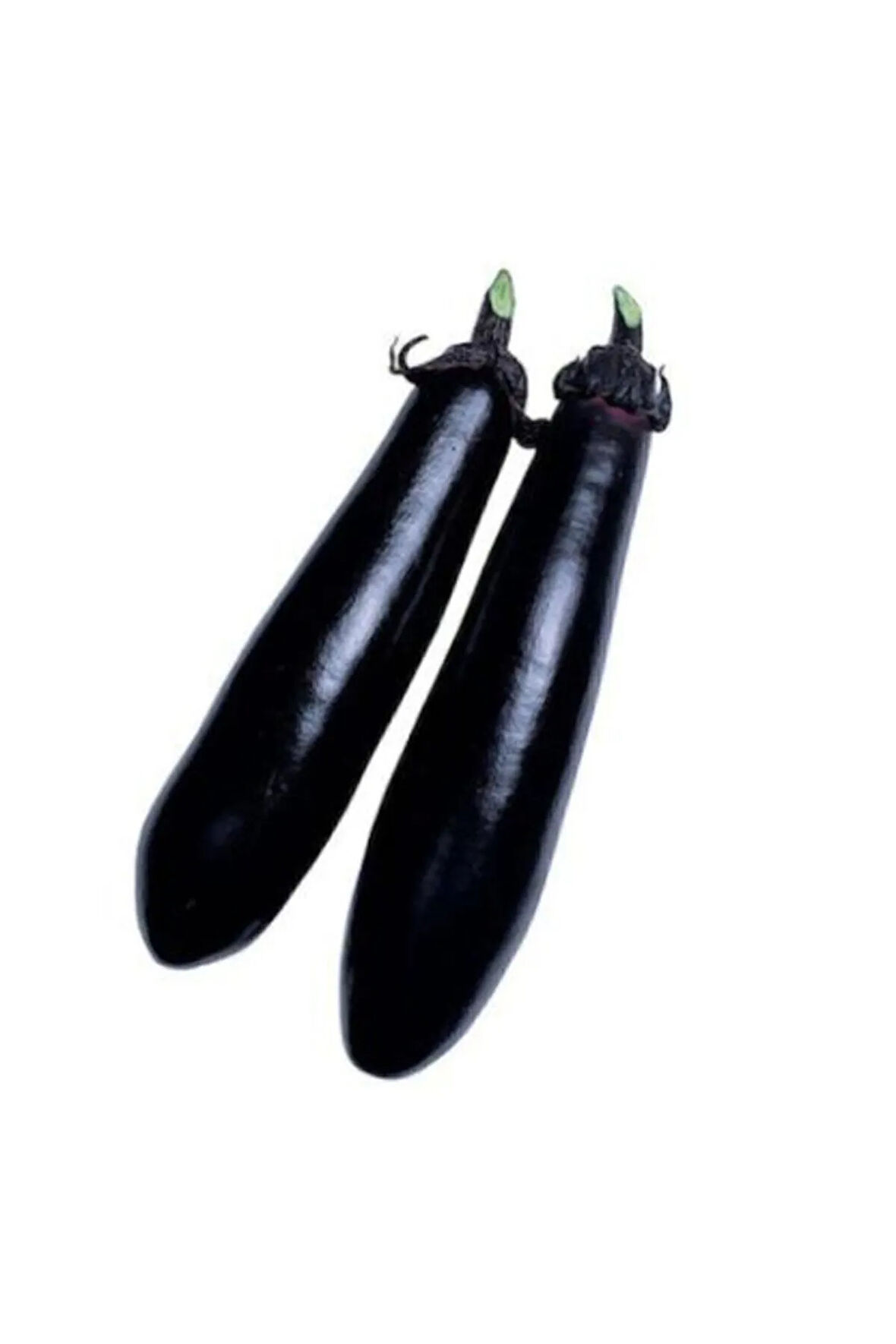 Nadir Siyah Kemer Patlıcan Tohumu Ekim Seti 20 Tohum Saksı Toprak Kombin