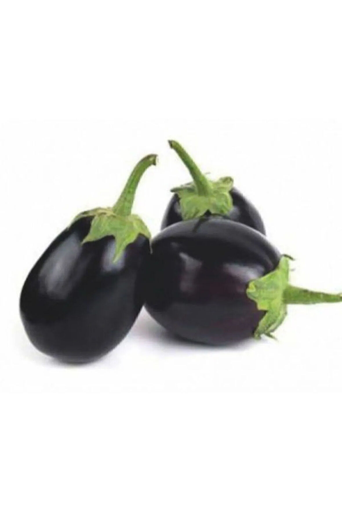 Iri Topan Dolmalık Patlıcan Tohumu Ekim Seti 10 Tohum Saksı Toprak Kombin