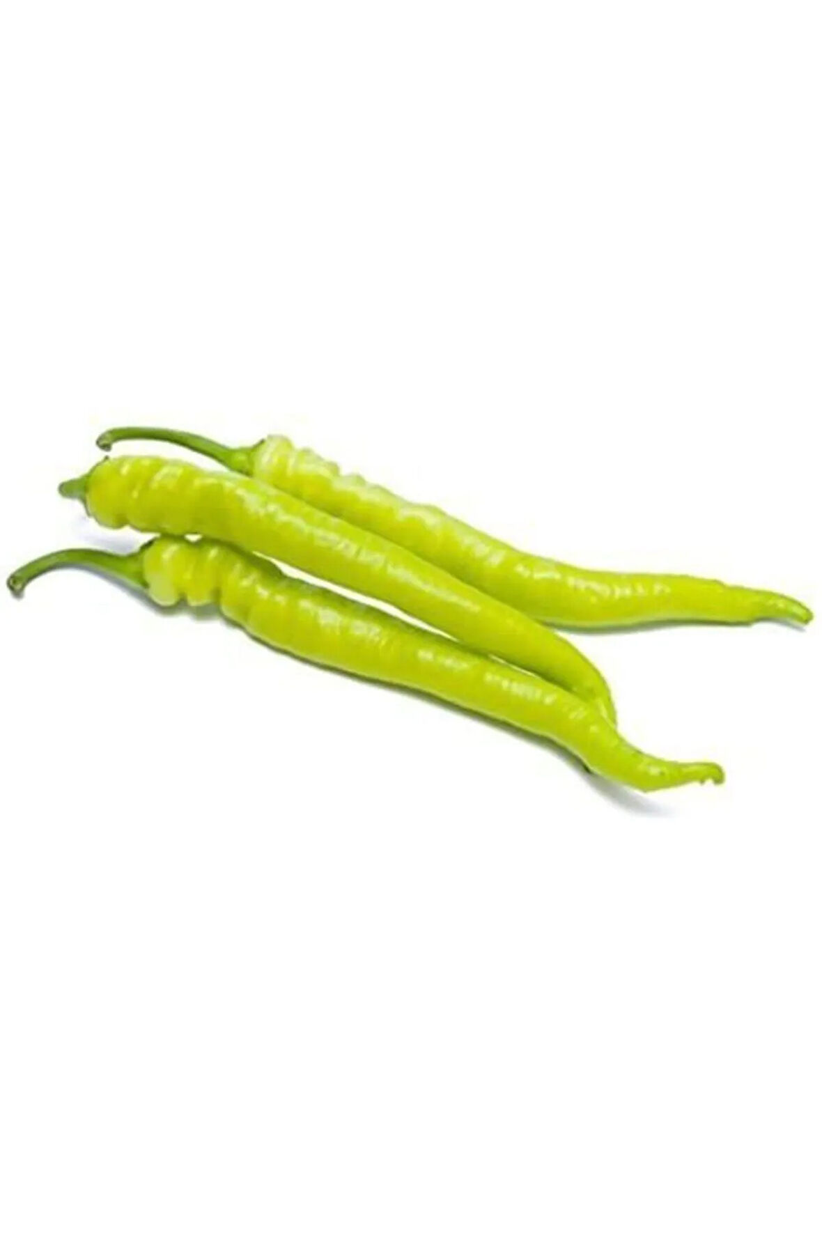 Tatlı Sarı Sivri Turşuluk Biber Tohumu Ekim Seti 20 Tohum Biber Tohumu Saksı Toprak Kombin