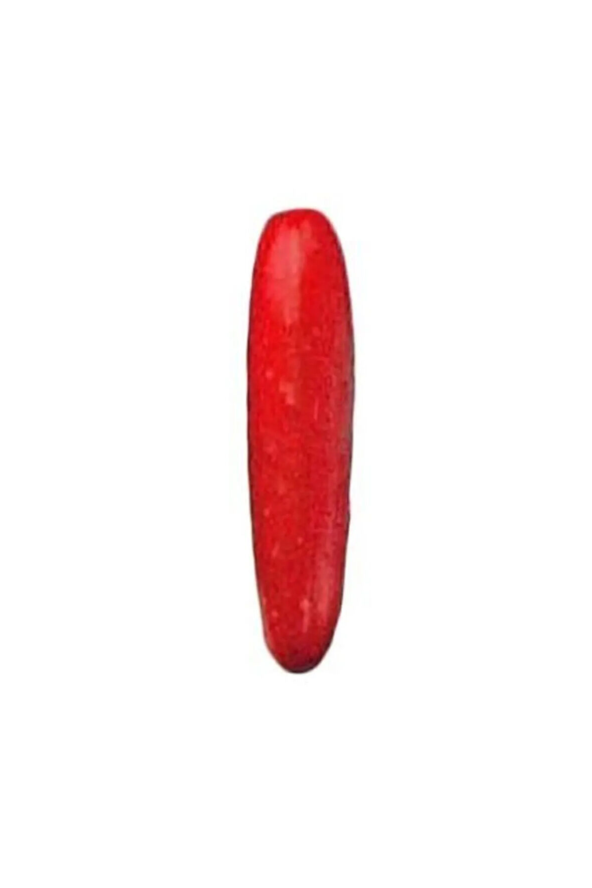 Nadir Ithal Kırmızı Salatalık Tohumu Ekim Seti 3 Tohum Red Cucumber Saksı Toprak Kombin