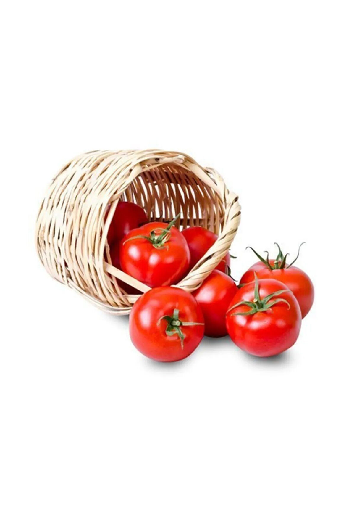 Nadir Nuran Domates Tohumu Ekim Seti 10 Tohum Saksı Toprak Kombin