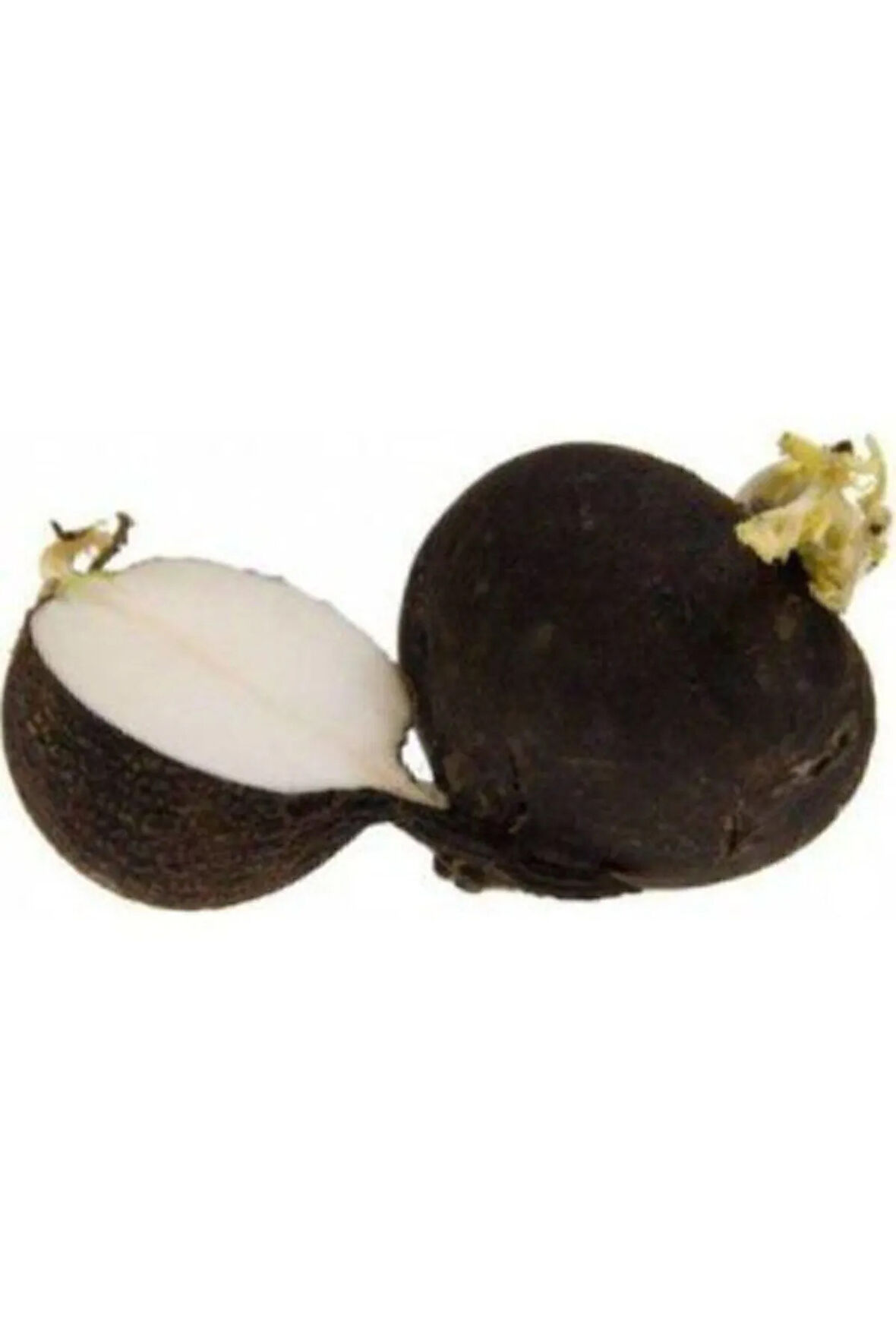 Eko Paket 500 Tohum Nadir Siyah Turp Tohumu