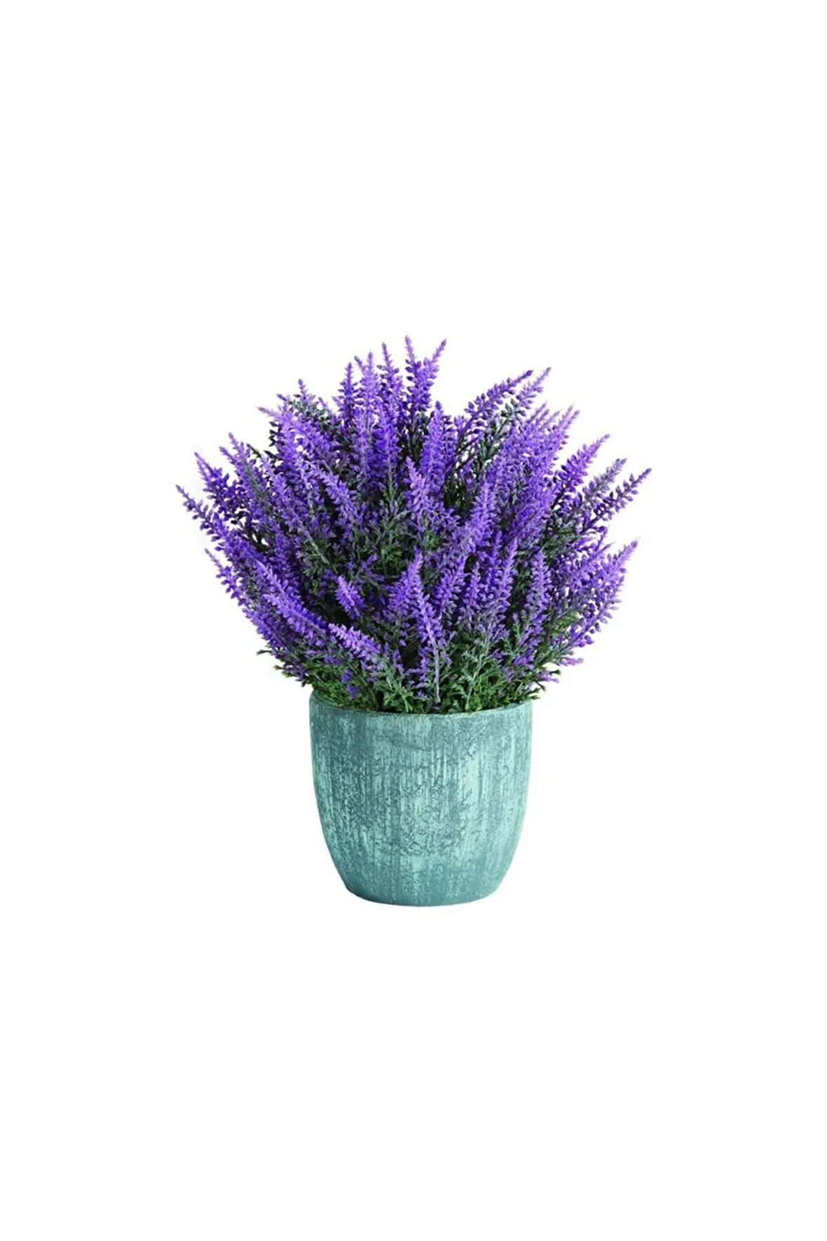 Nadir Ithal Mis Kokulu Ingiliz Lavanta Tohumu Lavanta Çiçeği Tohumu Çiçek Tohumu 20 Tohum