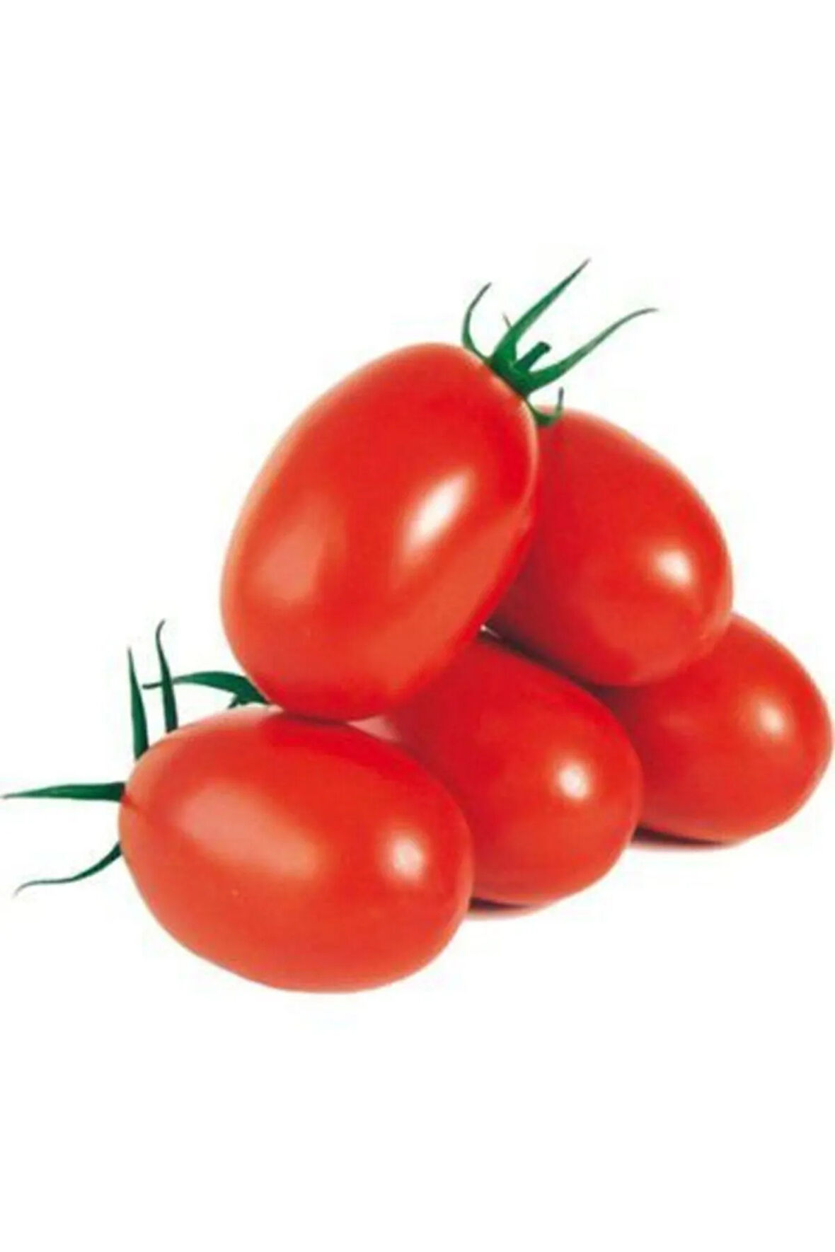 Nadir Zeytin Domates Tohumu Ekim Seti 10 Tohum Zeytin Domatesi Tohumu Saksı Toprak Kombin