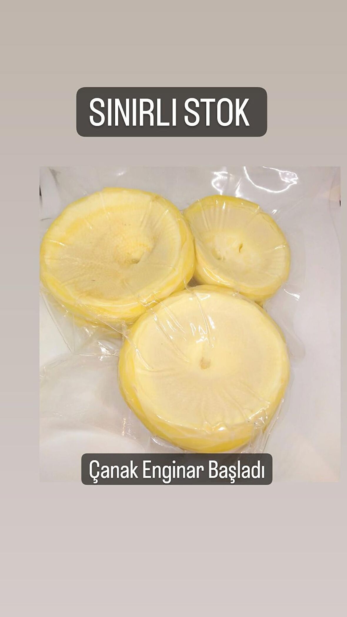 5 Adet Vakumlu Çanak Enginar