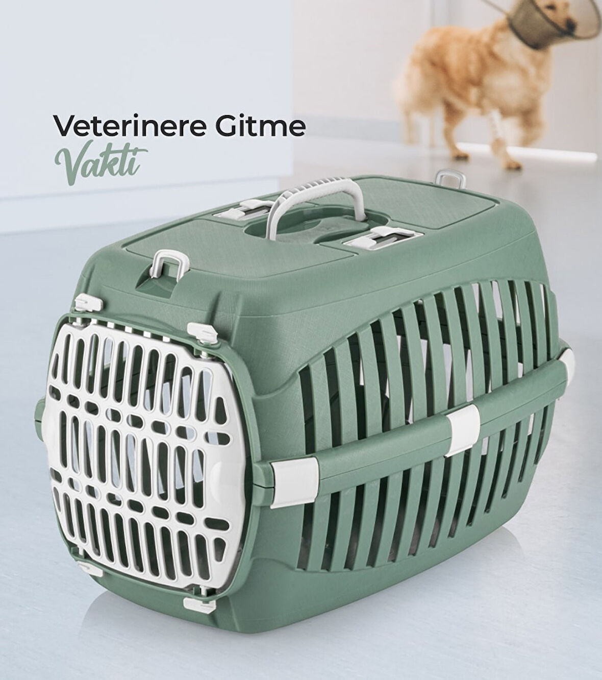 pet kedi köpek taşıma çantası - evcil hayvan seyahat çantası